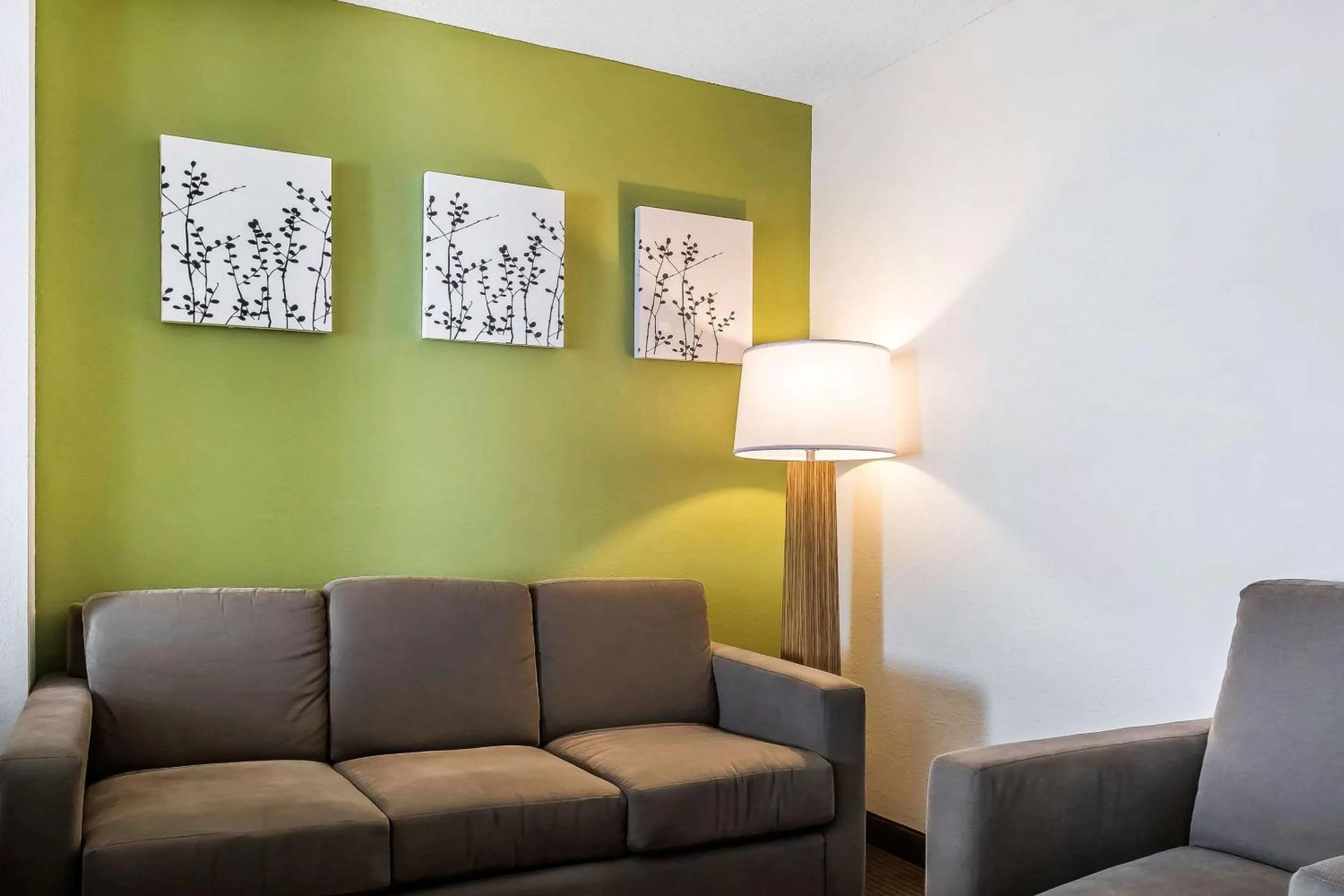 Photo of the whole room in Sleep Inn & Suites Dothan North