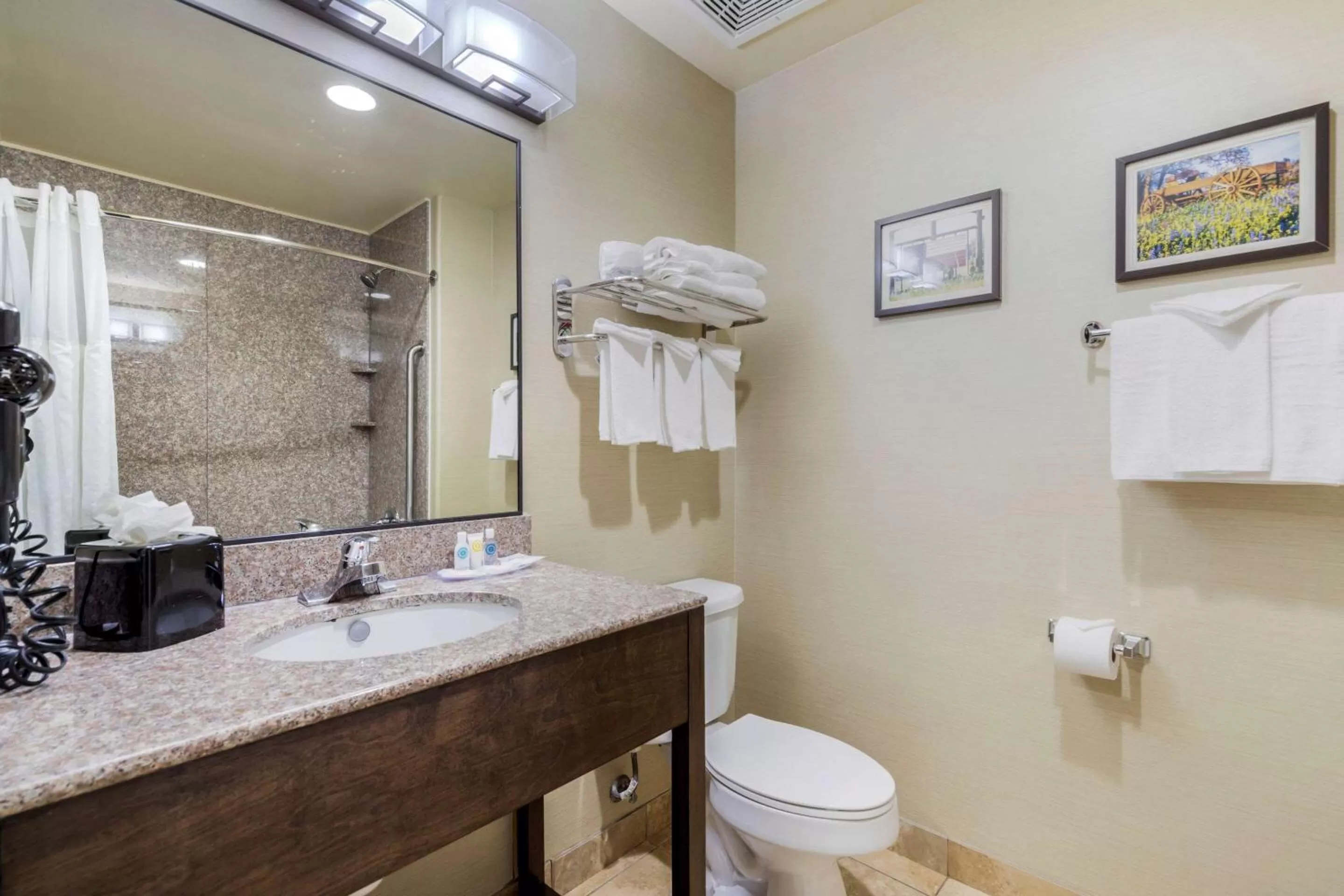 Bathroom in Comfort Suites Pflugerville - Austin North