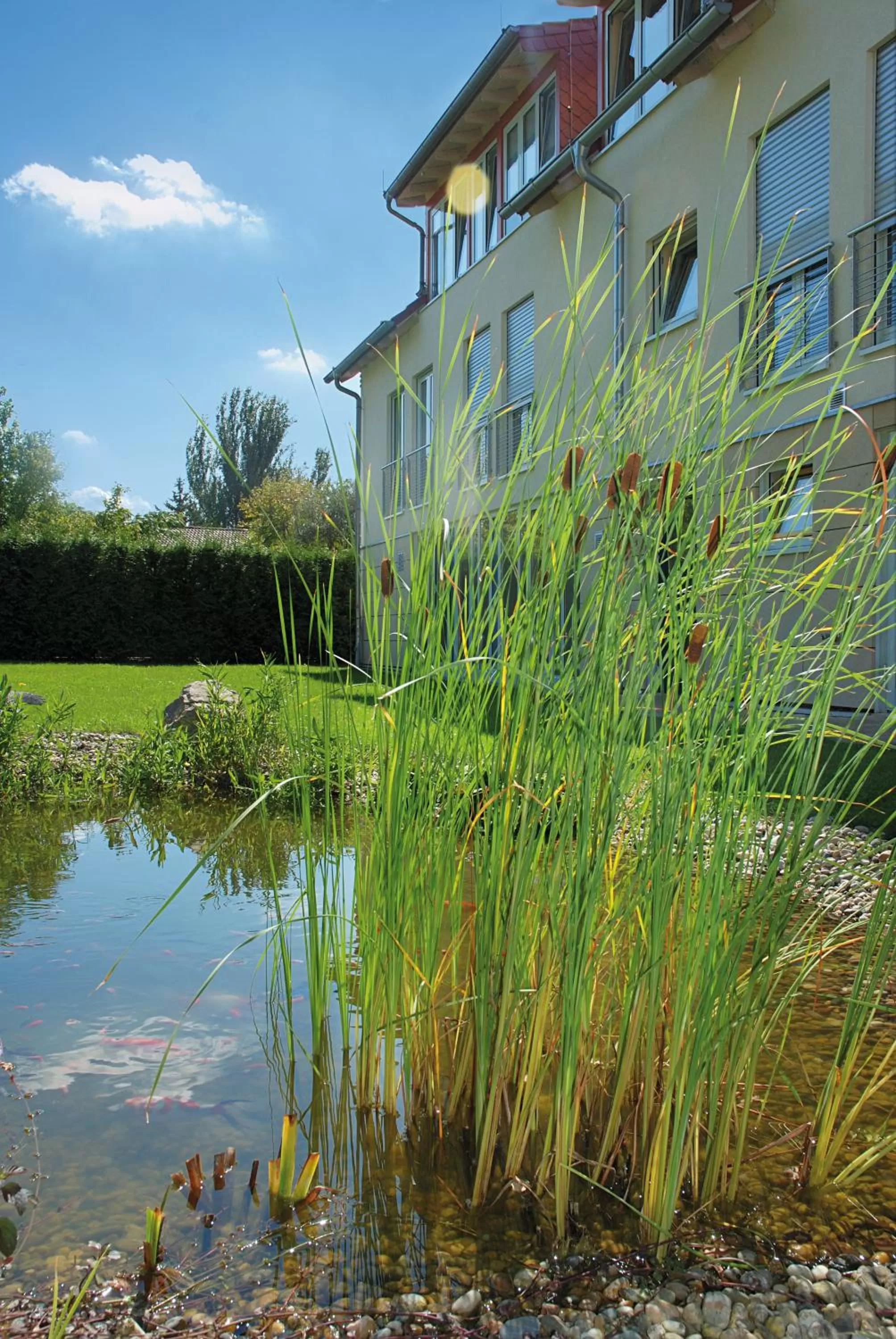 Facade/entrance, Property Building in Landhotel Altes Wasserwerk GbR
