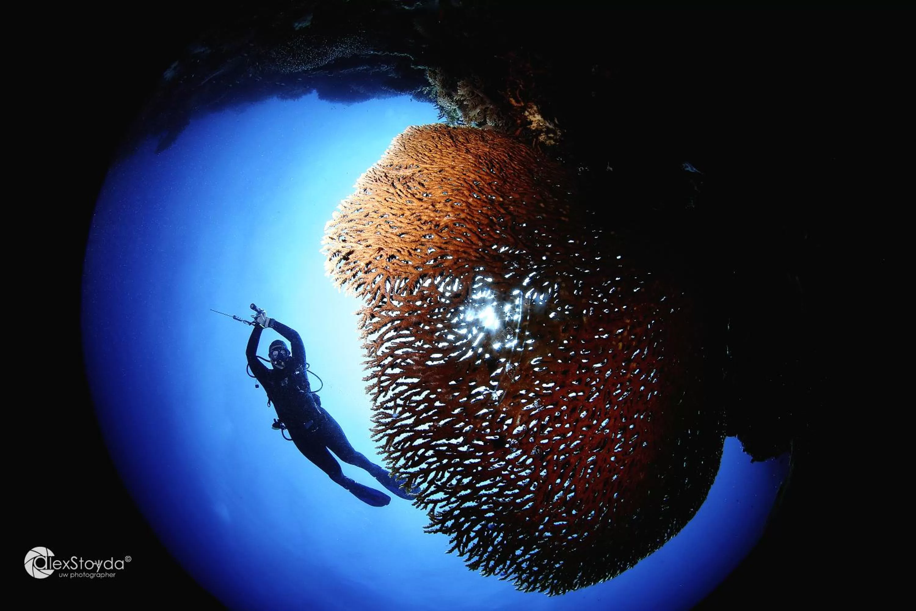 Activities in Mahi Mahi Dive Resort