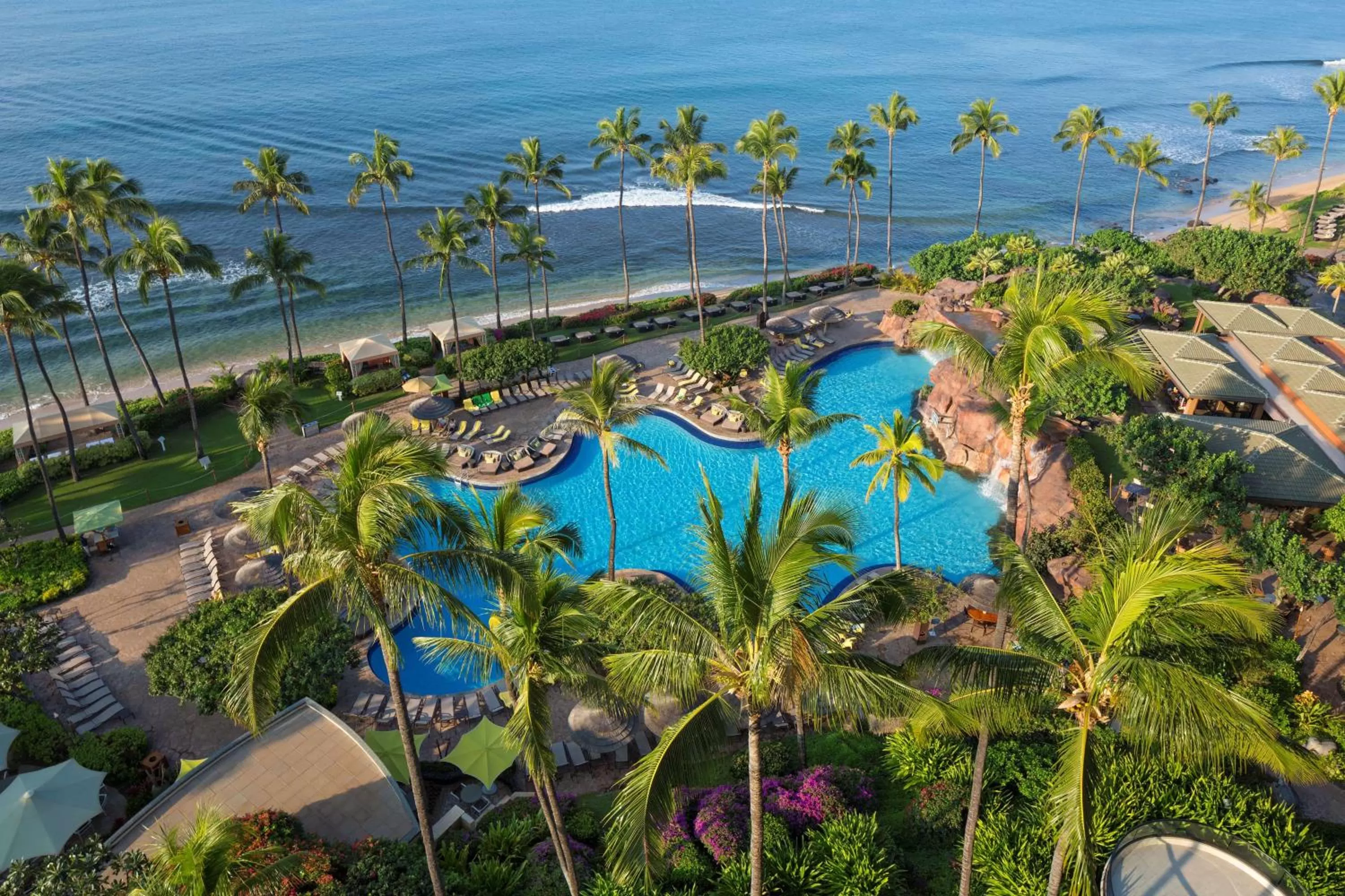 Activities in Hyatt Regency Maui Resort & Spa