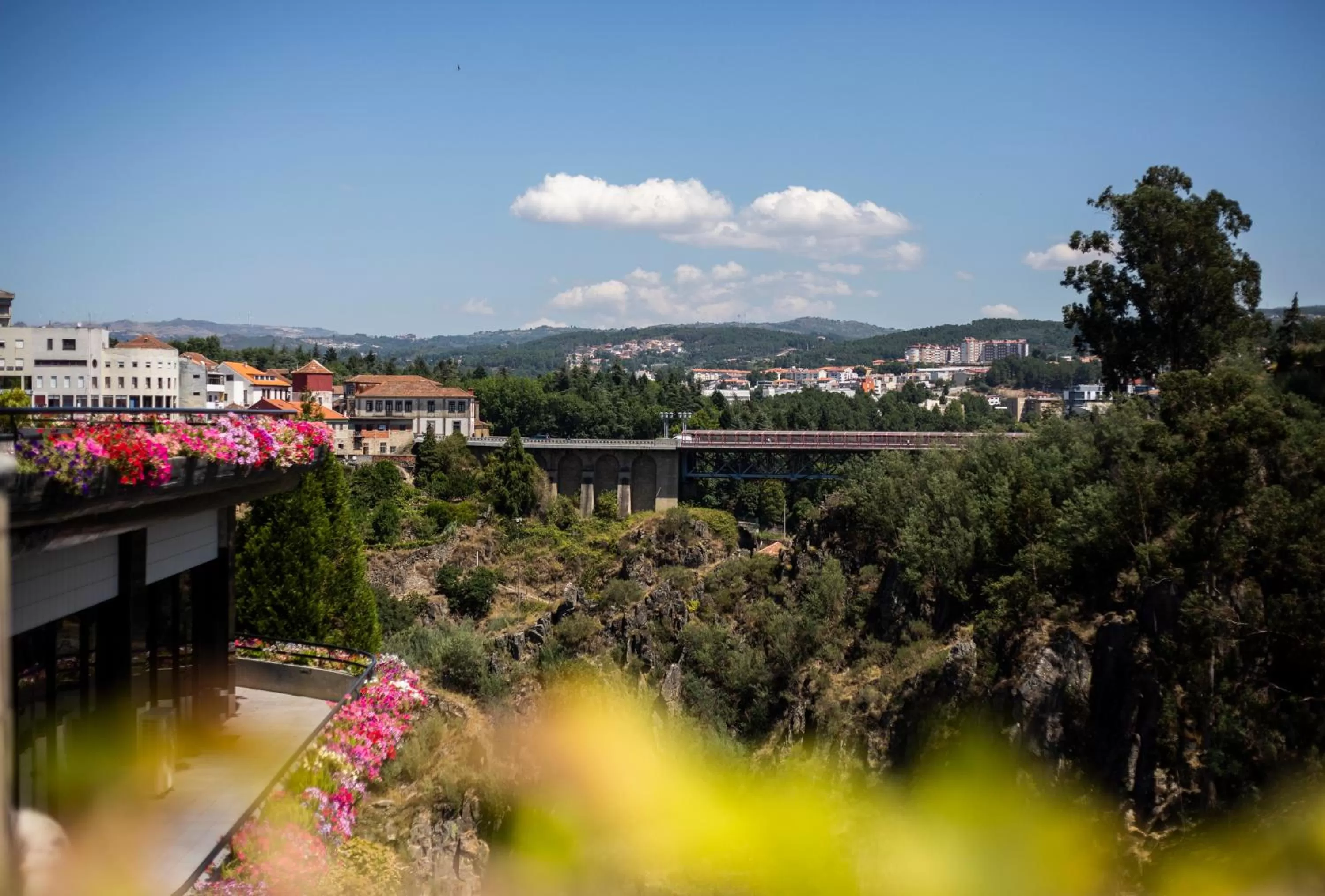 Garden in Hotel Miracorgo