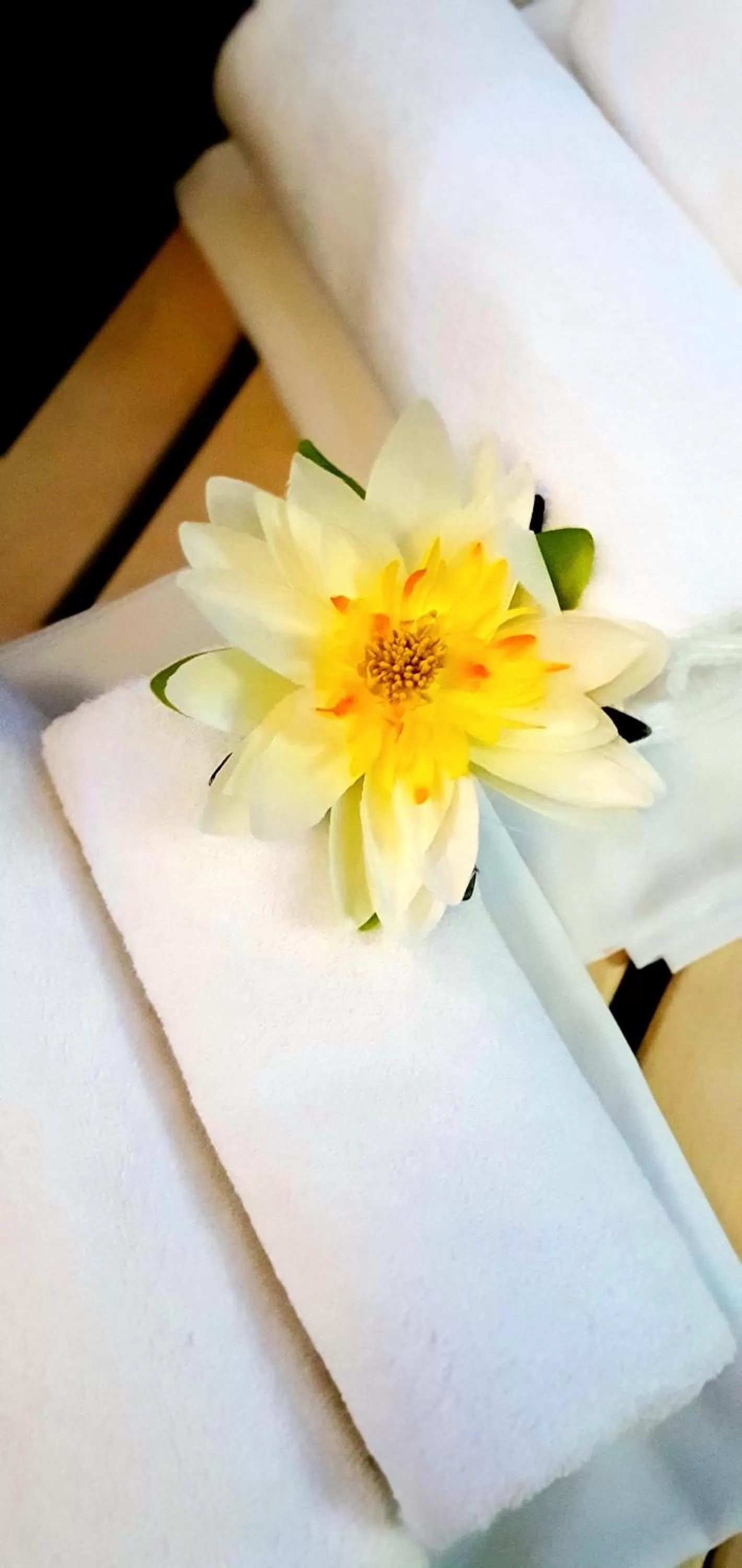 Spa and wellness centre/facilities in Hotel Farma Vysoká