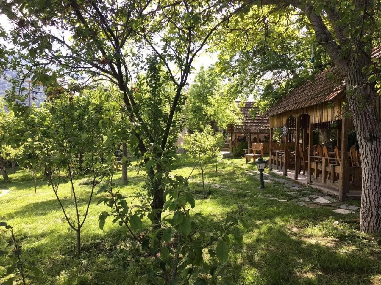 Garden in Dil Hill by Sam