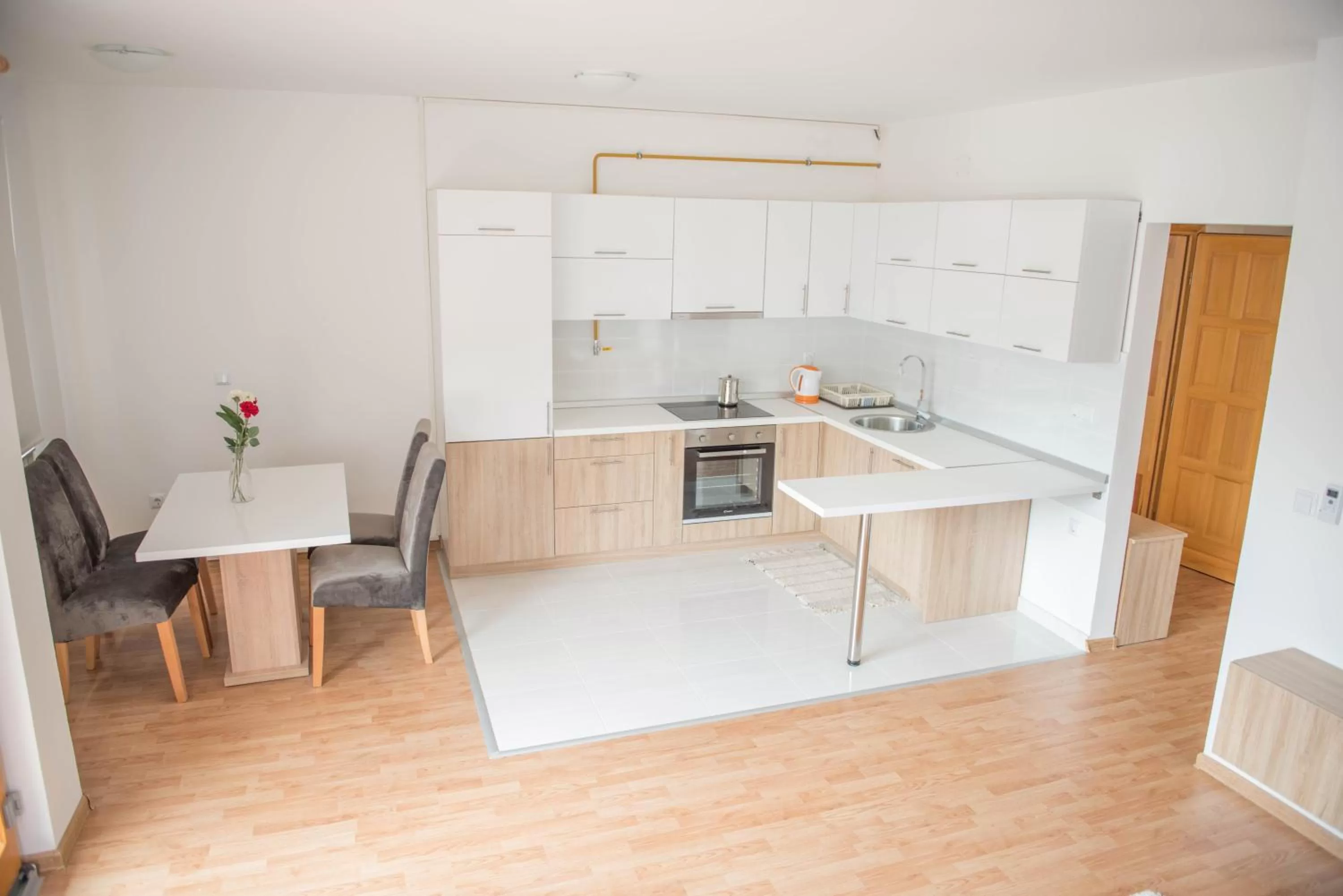 Kitchen/Kitchenette in Leader apartment