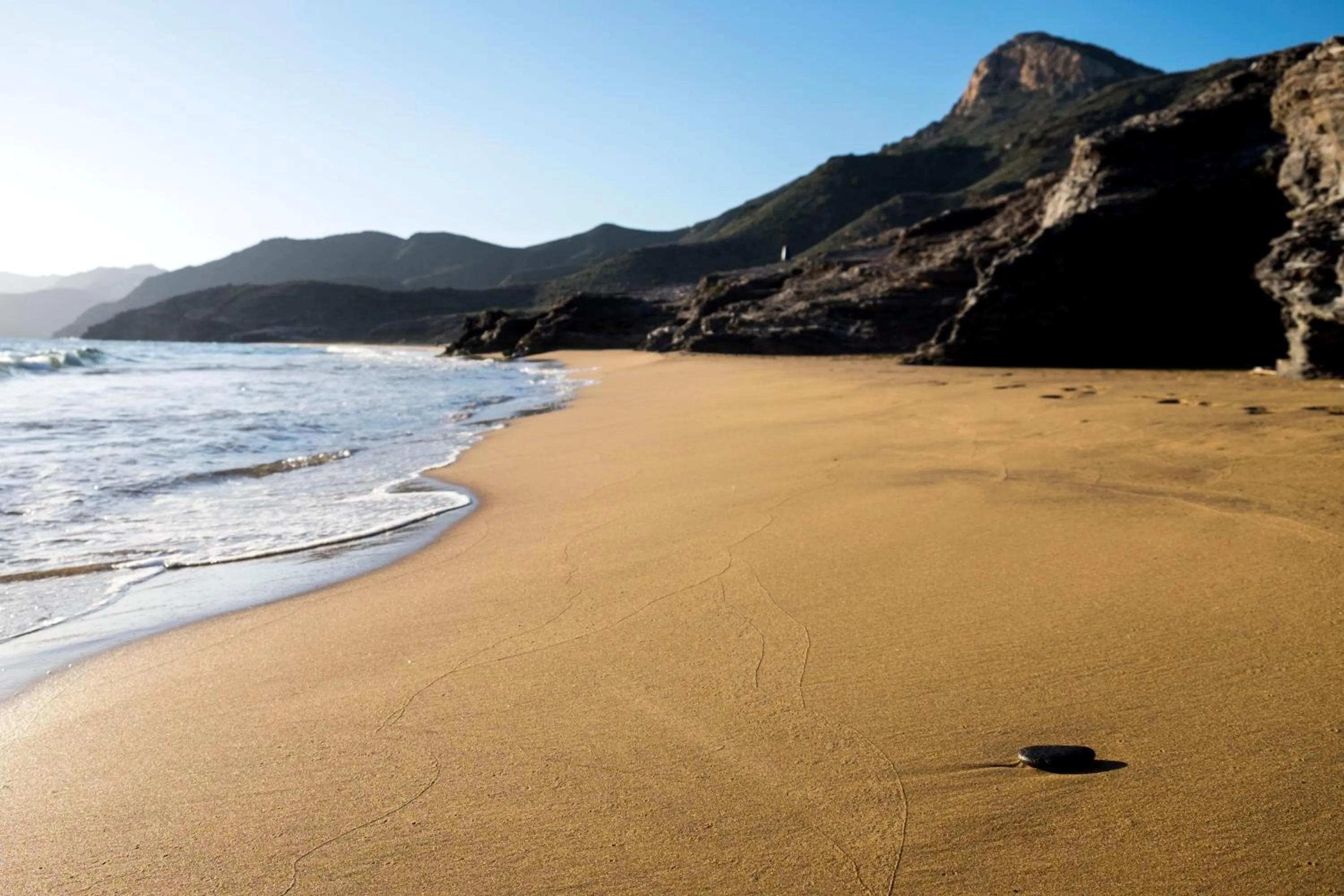 Activities in Hotel Los Delfines