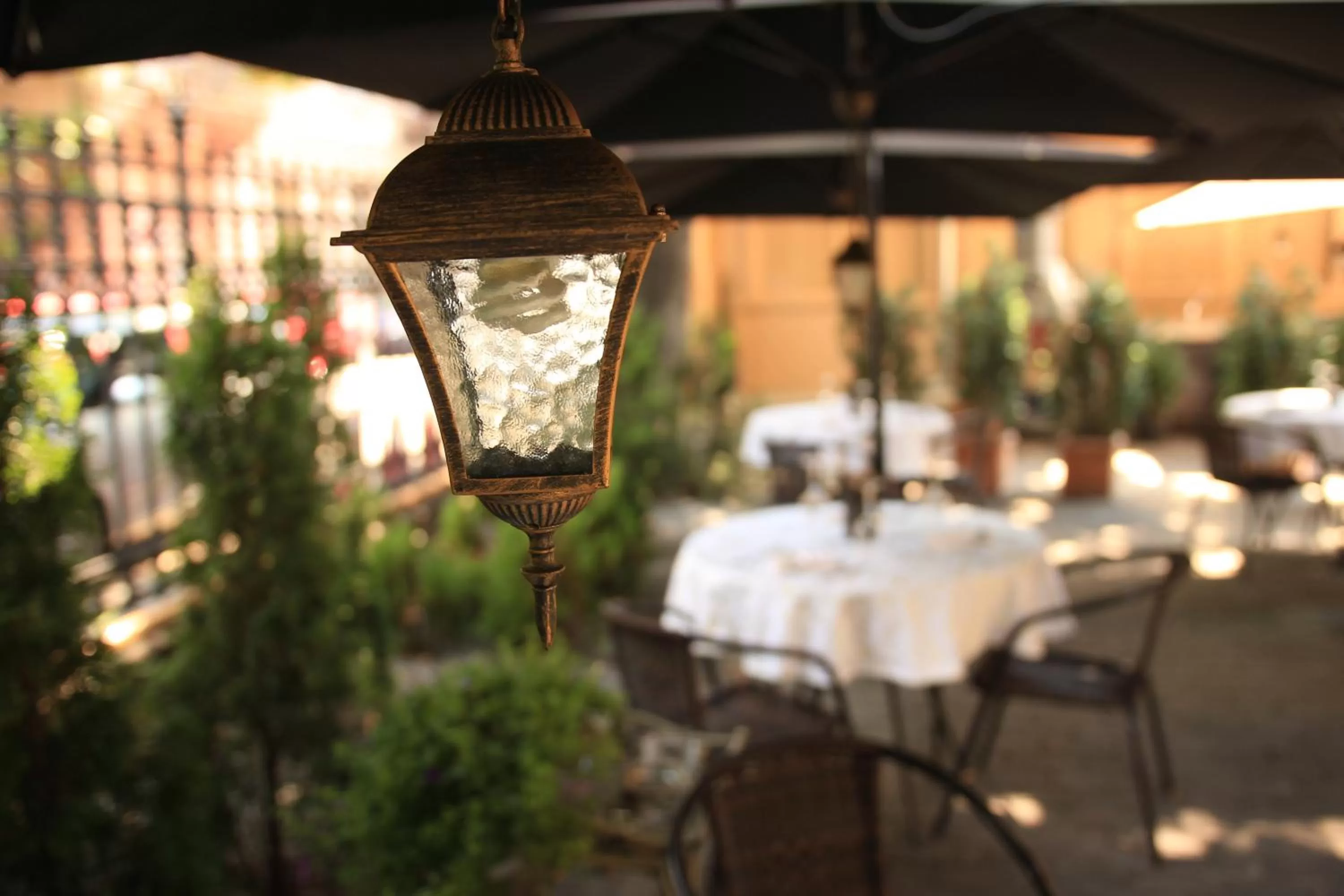 Restaurant/places to eat in Grand Boutique Hotel