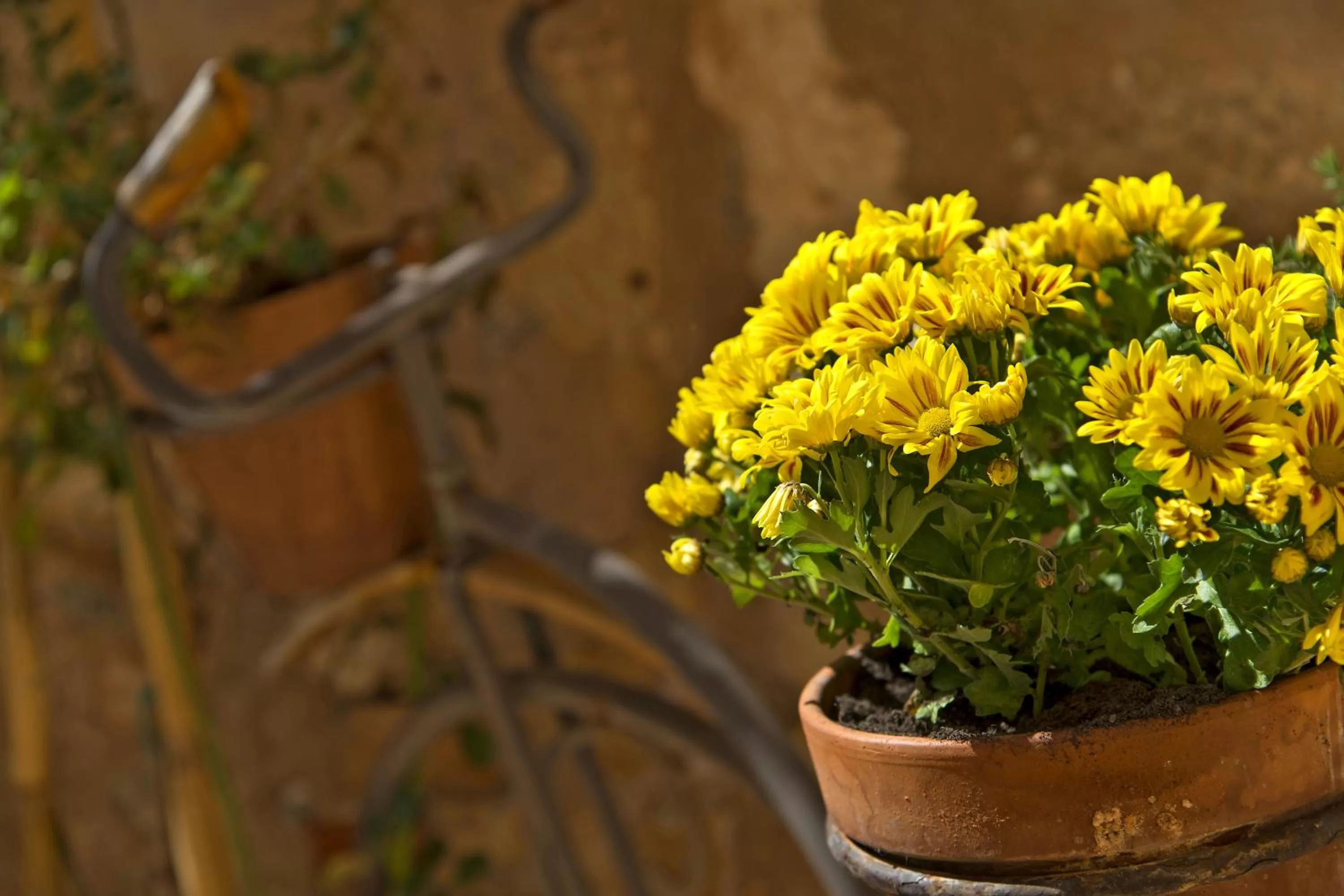 Patio in Ionas Boutique Hotel