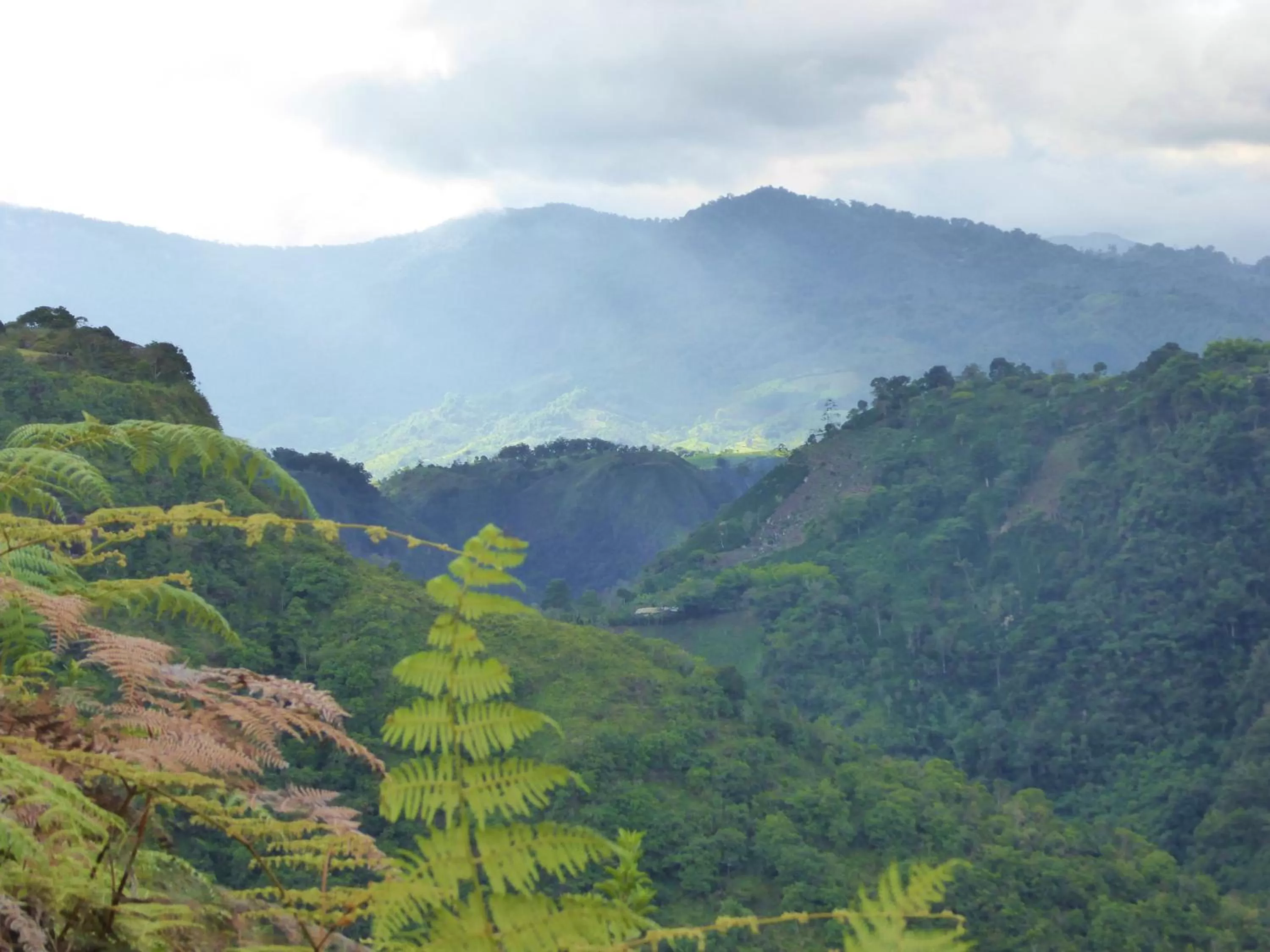 Nearby landmark, Natural Landscape in Finca El Cielo