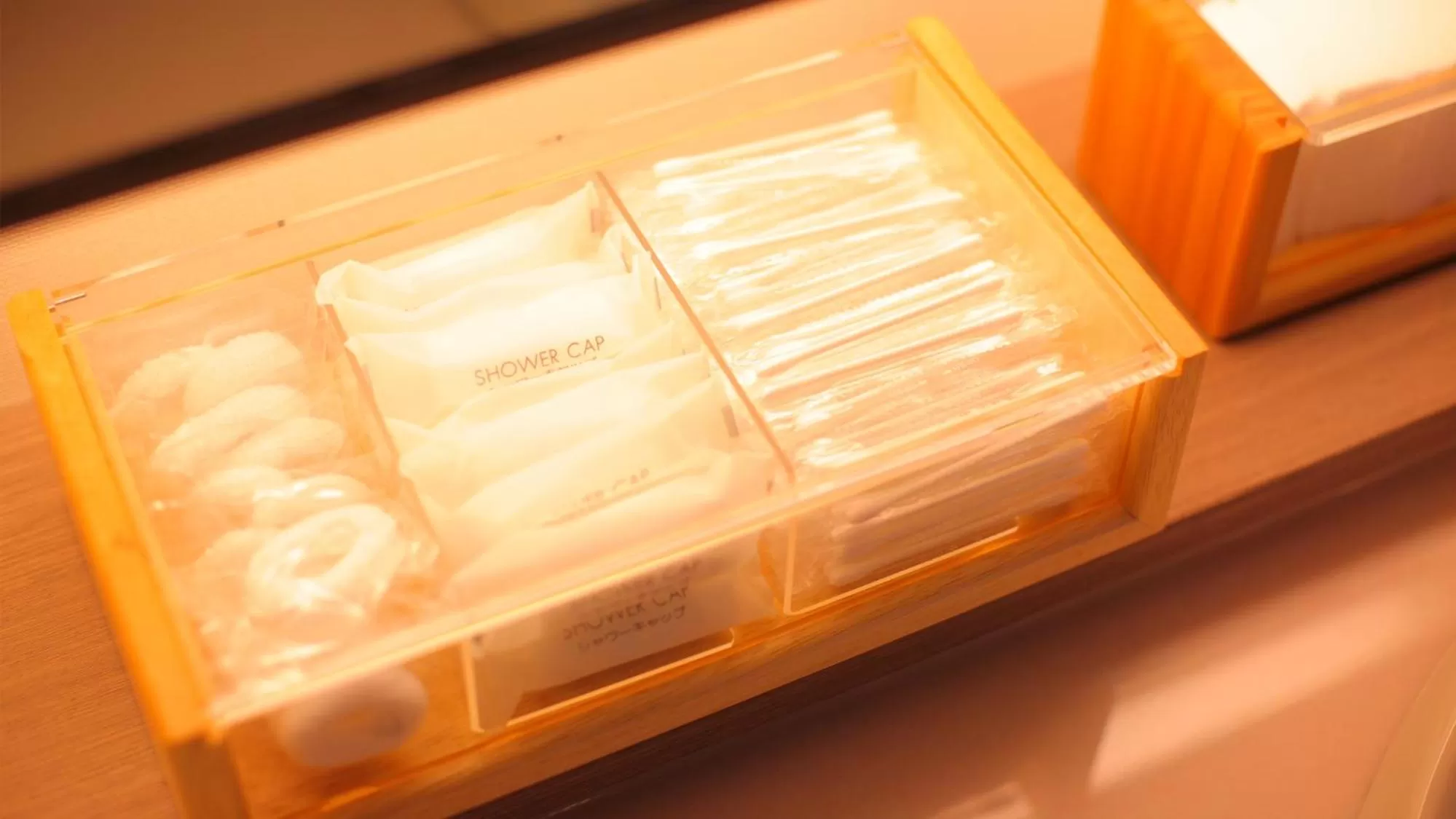 Public Bath in Spa Hotel Alpina Hida Takayama