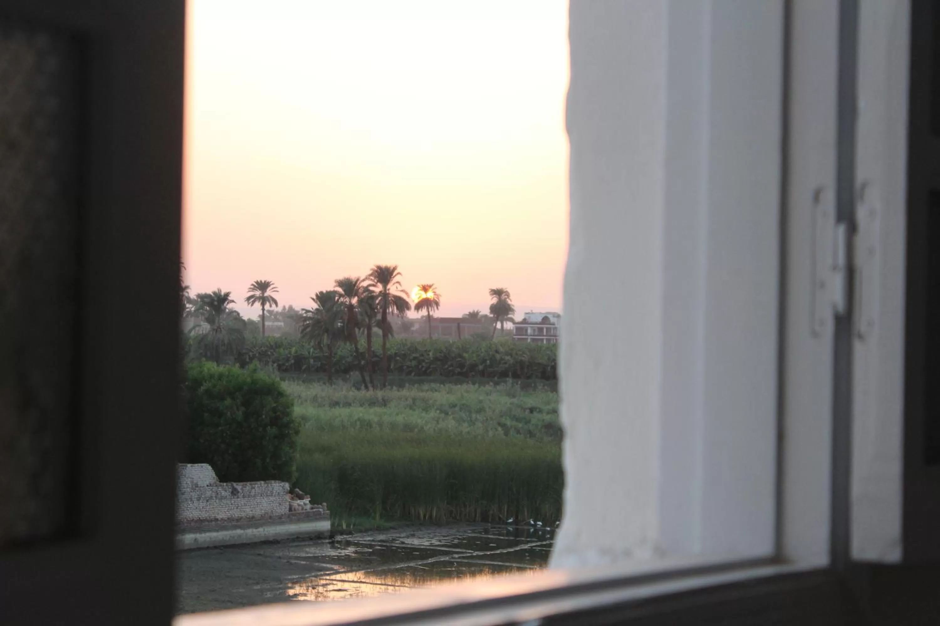 Mama Africa Apts & Studios