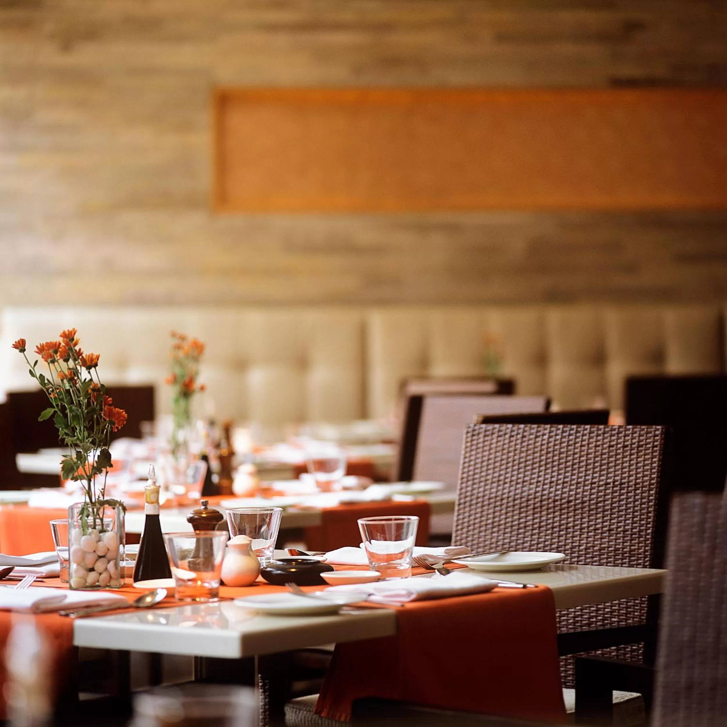 Restaurant/places to eat in Trident Chennai