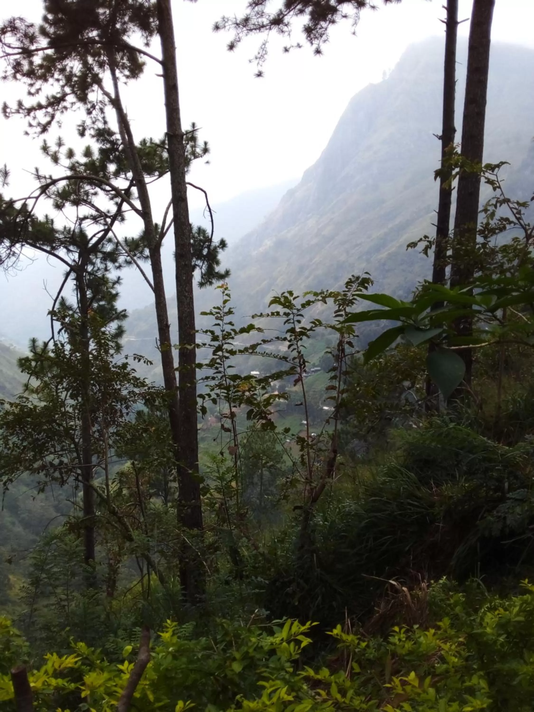 Mountain View in Dream view