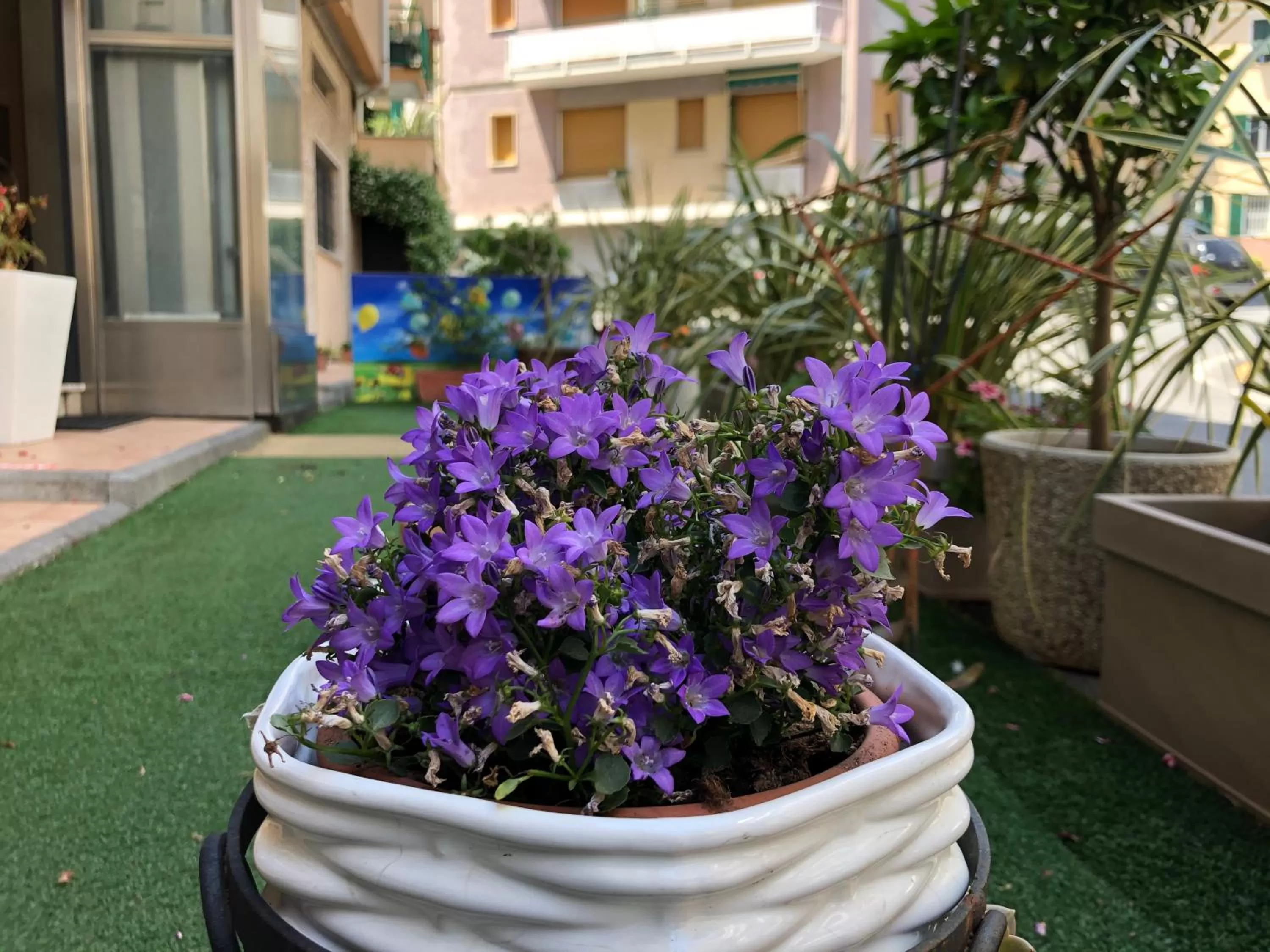 Lobby or reception in Casa Vacanze Isophylla