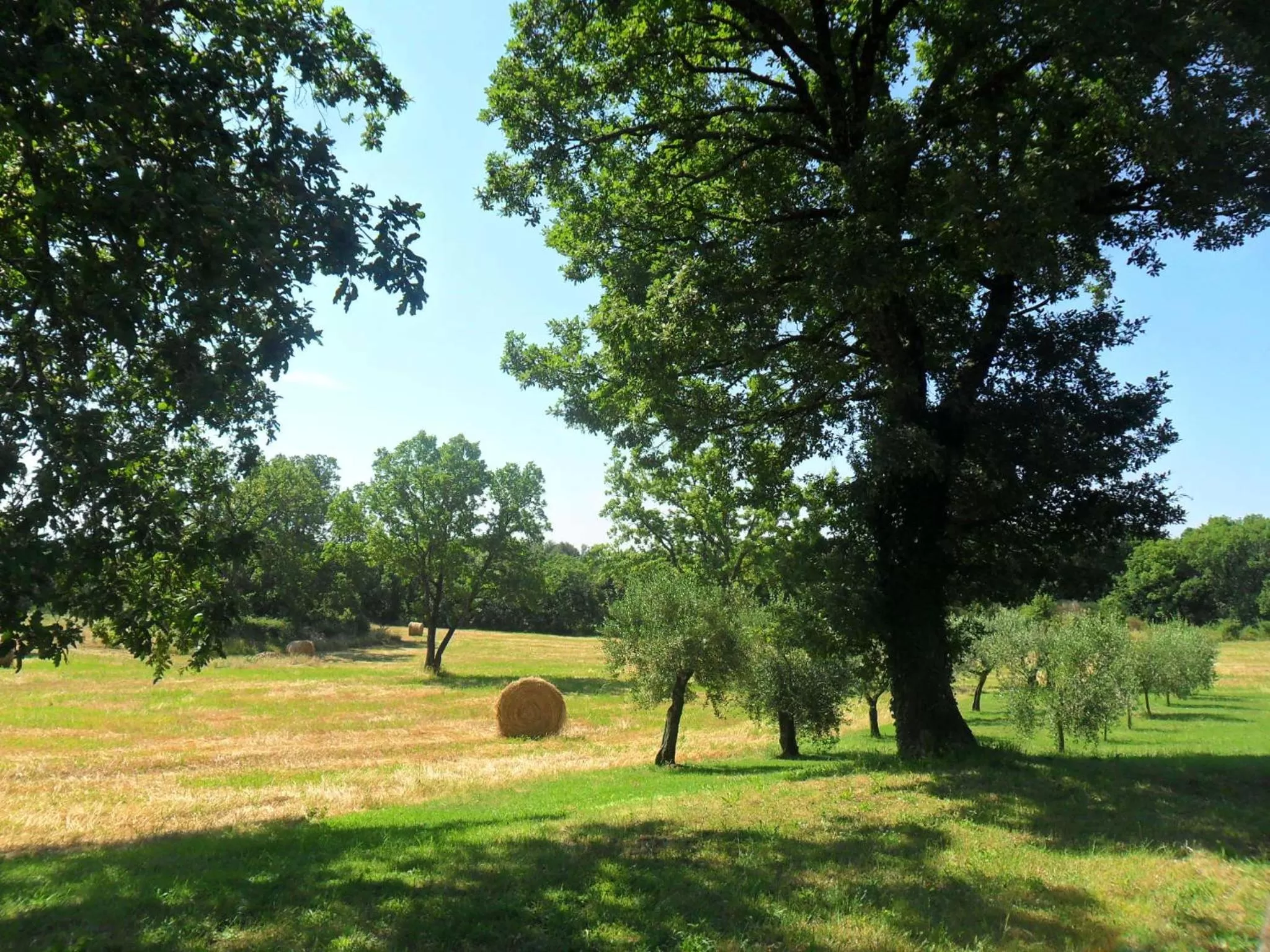 Area and facilities in Casale Santa Caterina