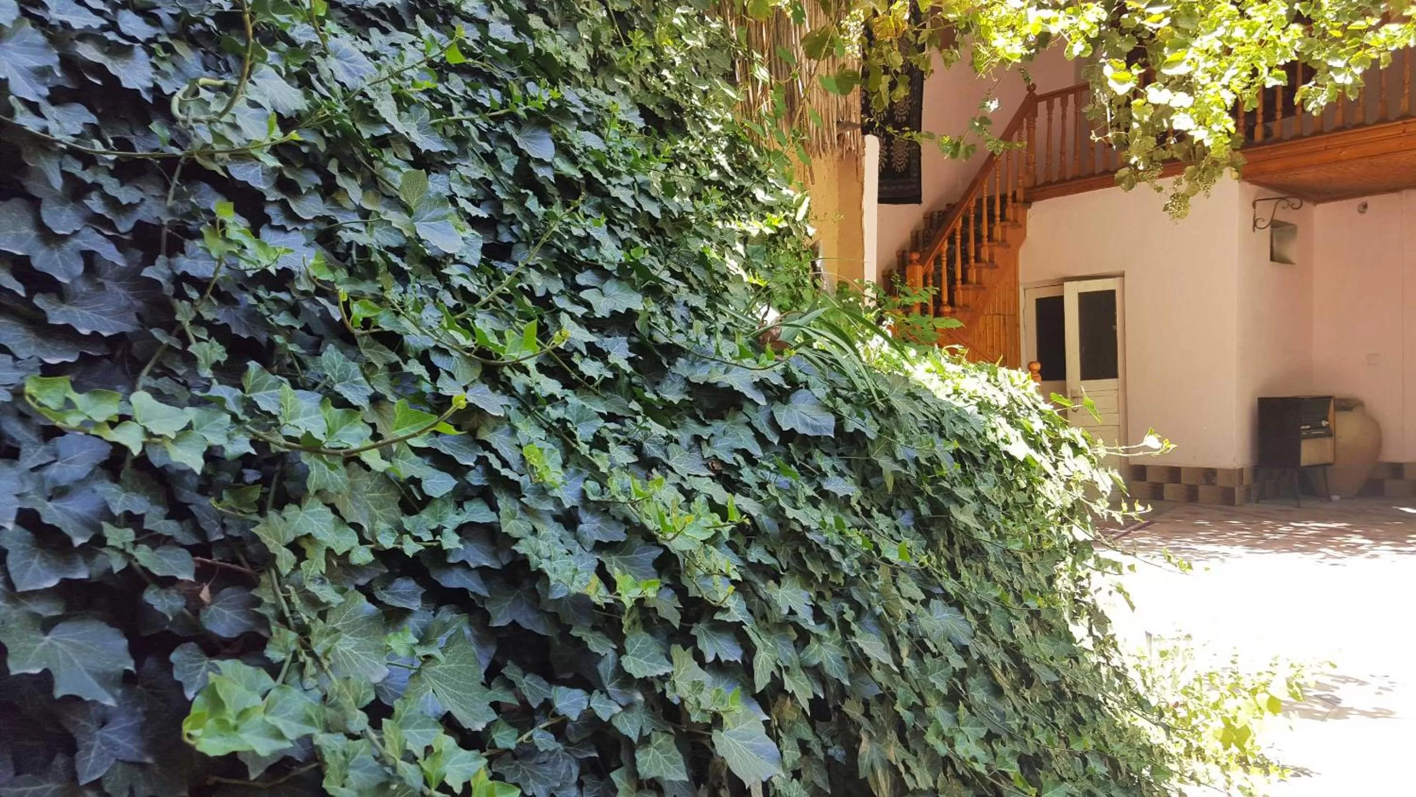 Garden, Property Building in Jahongir Guest House