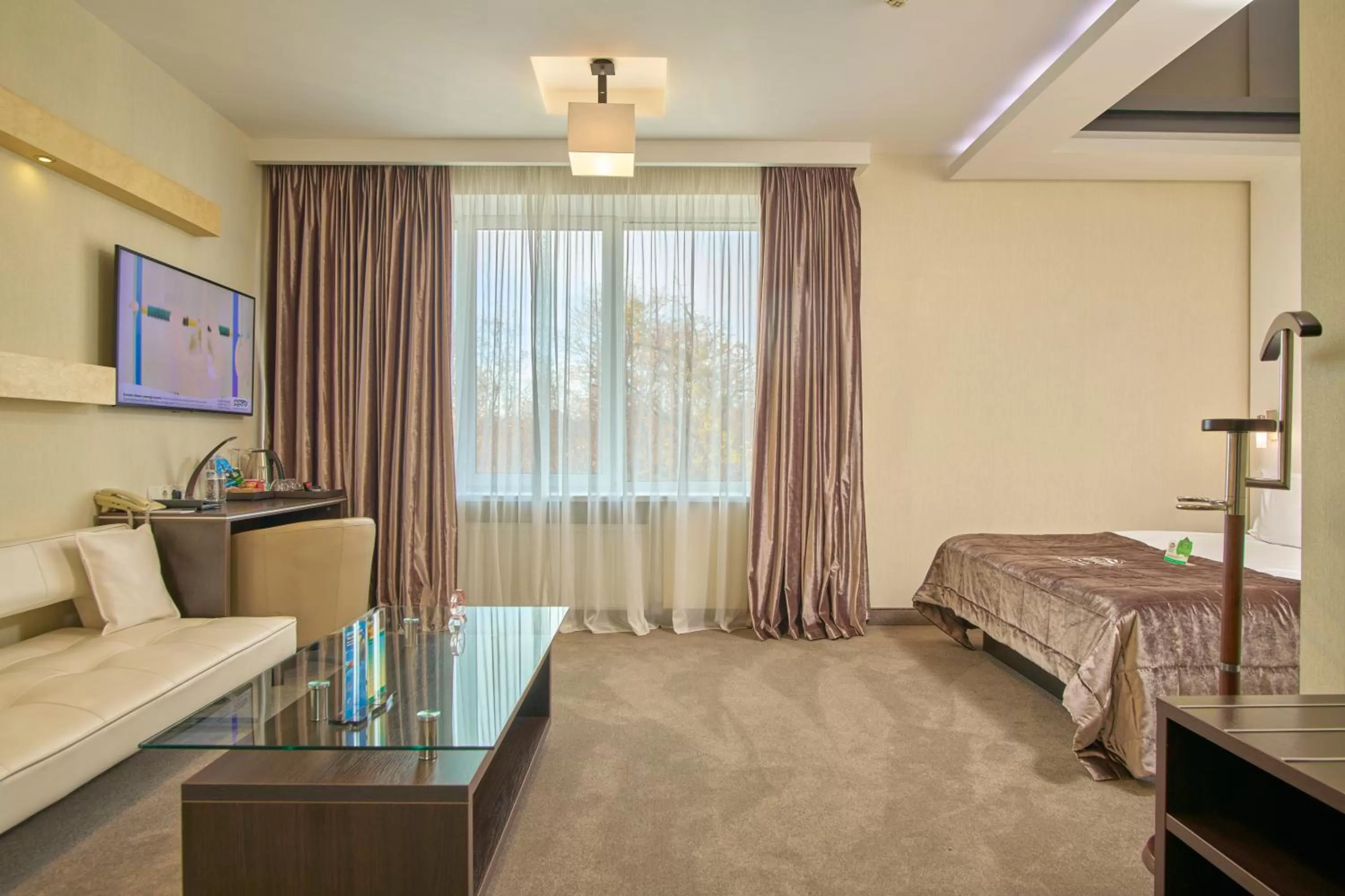 View (from property/room) in Hotel & Spa NEMO with dolphins