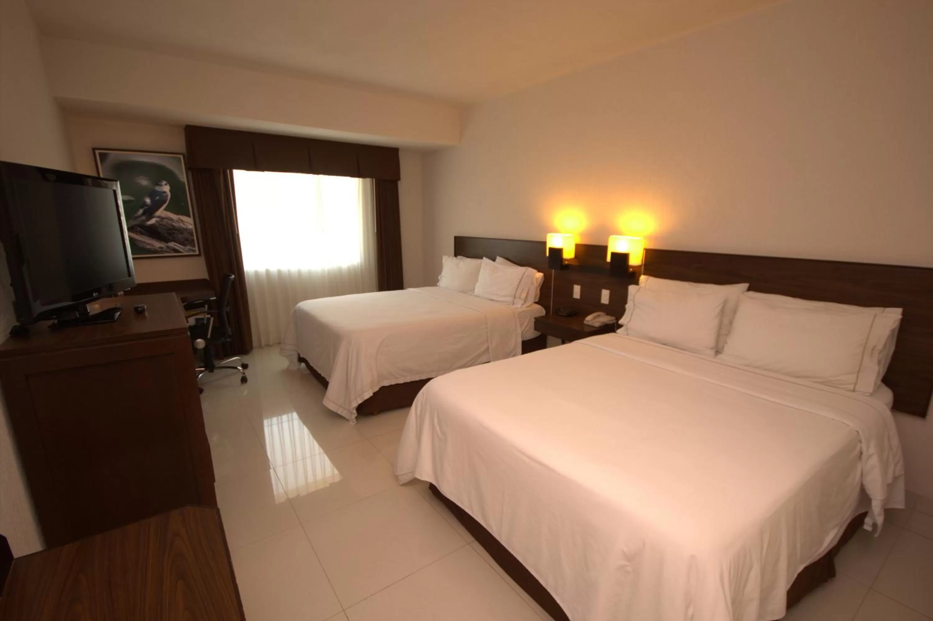 Photo of the whole room, Bed in Holiday Inn Express Tuxtla Gutierrez La Marimba by IHG