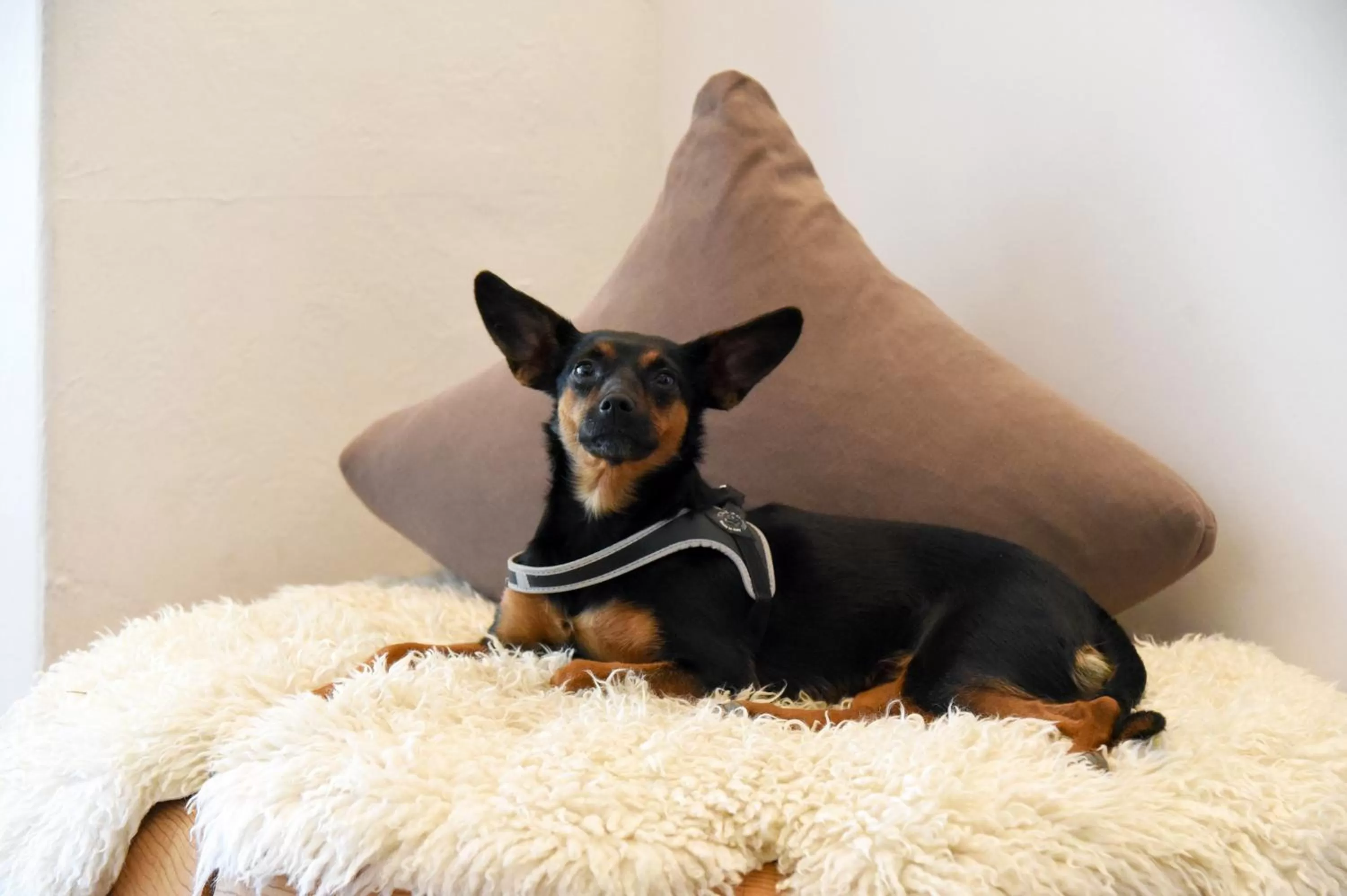 Decorative detail in Hotel Seehof-Arosa