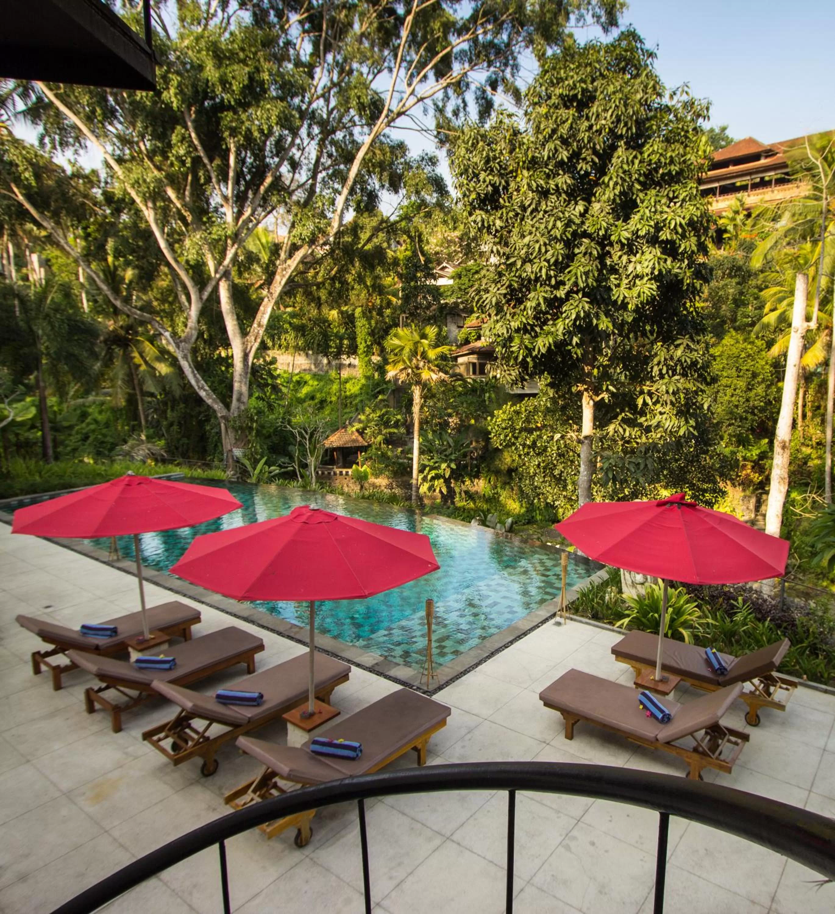 Natural landscape in Labak River Hotel by EPS