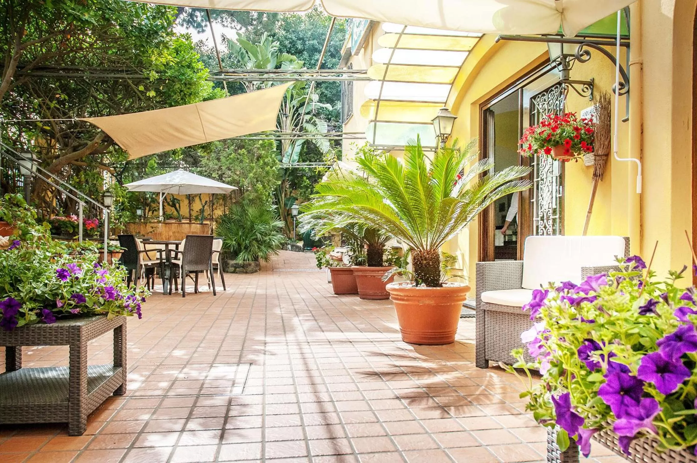 Patio in Hotel Annabelle