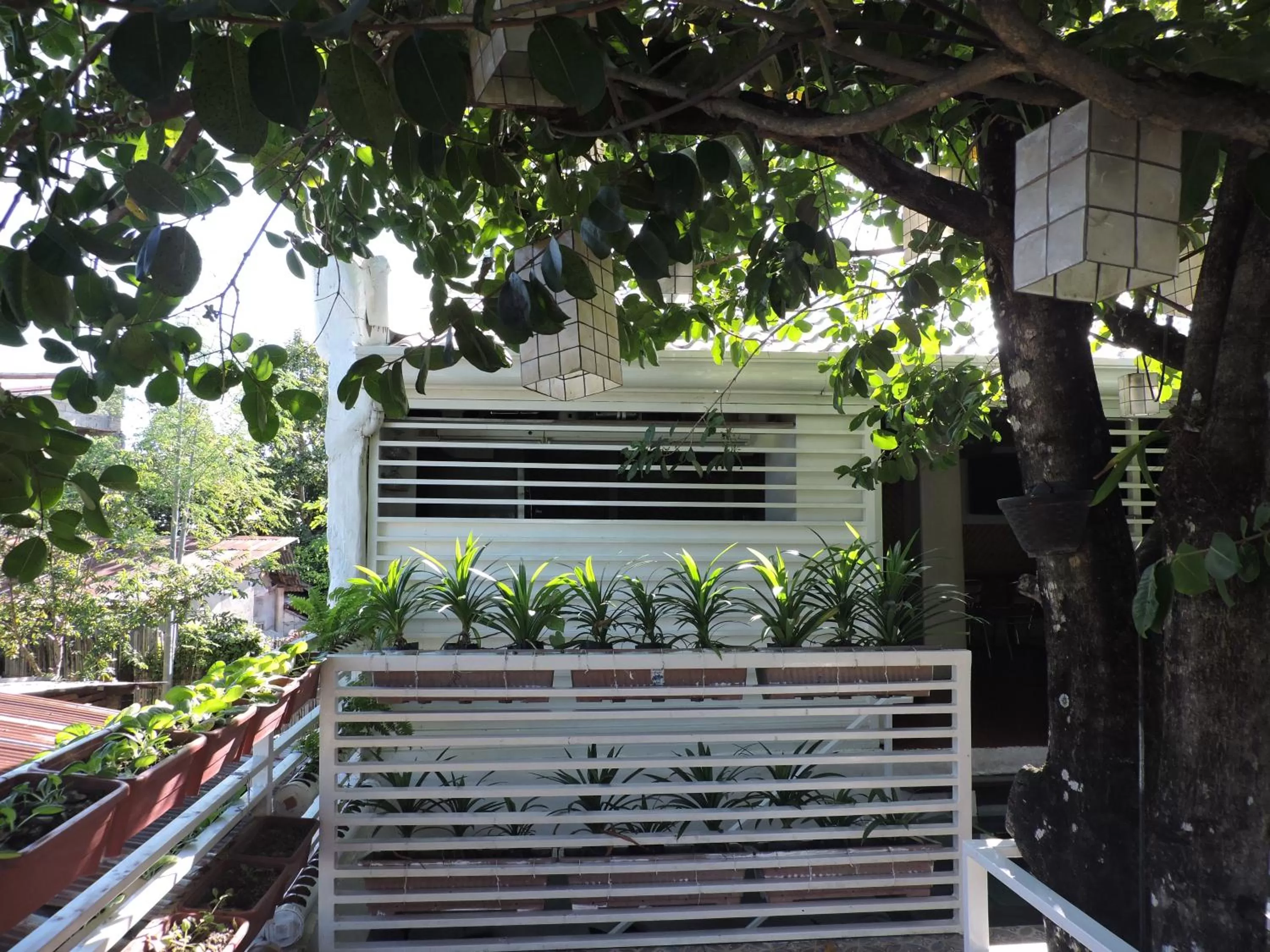 Balcony/Terrace in Orange Mangrove Pension House by SMS Hospitality