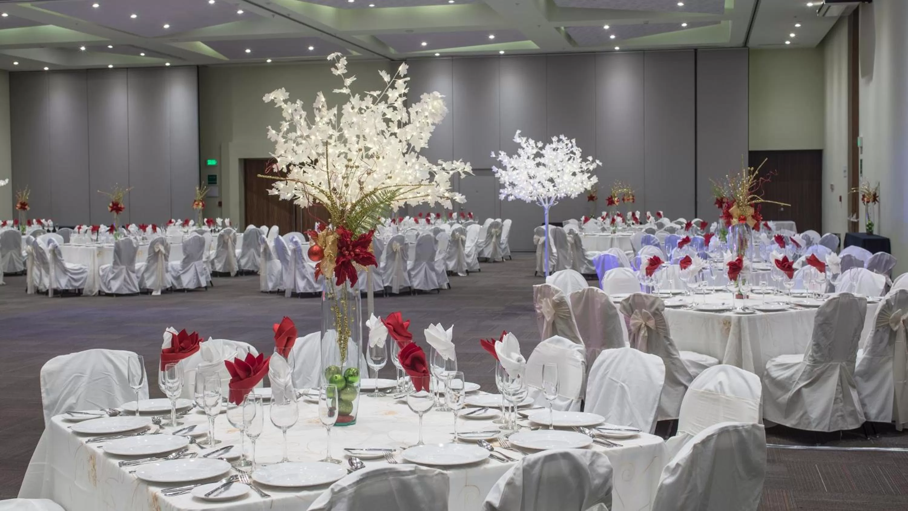 Banquet/Function facilities in Holiday Inn Coatzacoalcos by IHG