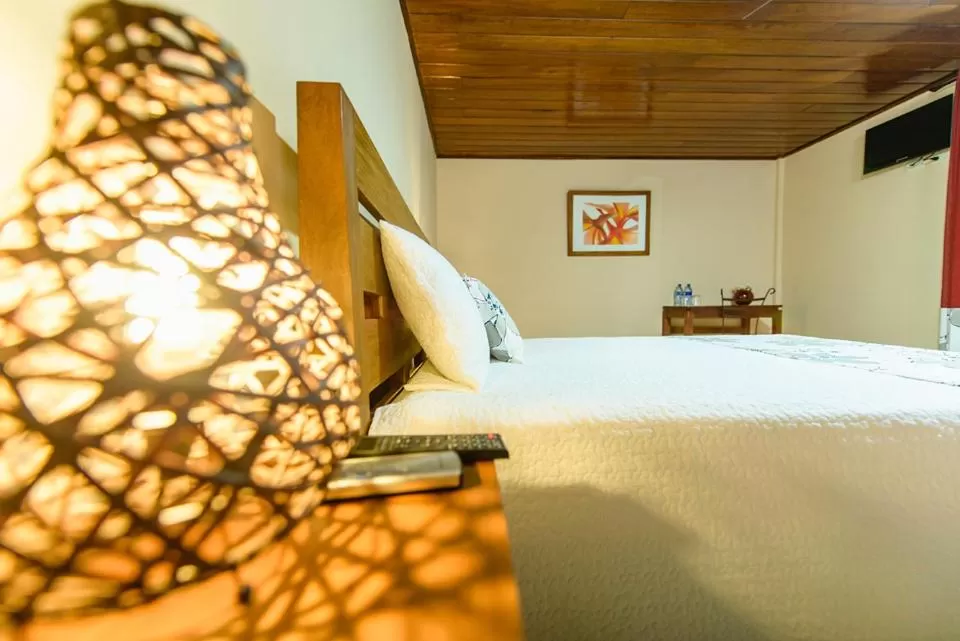 Photo of the whole room, Bed in Hotel Flor De Sarta