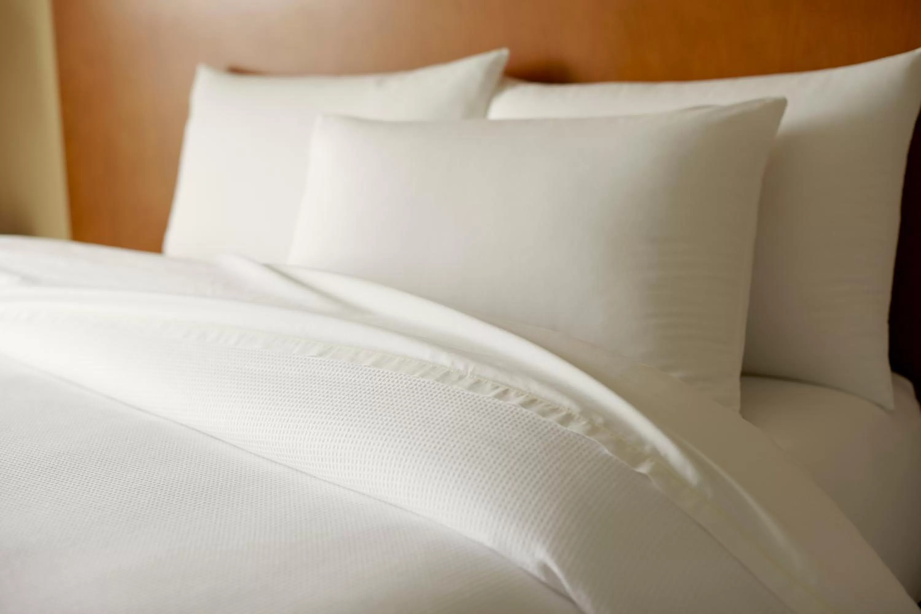 King Room with Sofa Bed - High Floor in Hyatt Place Salt Lake City/Cottonwood