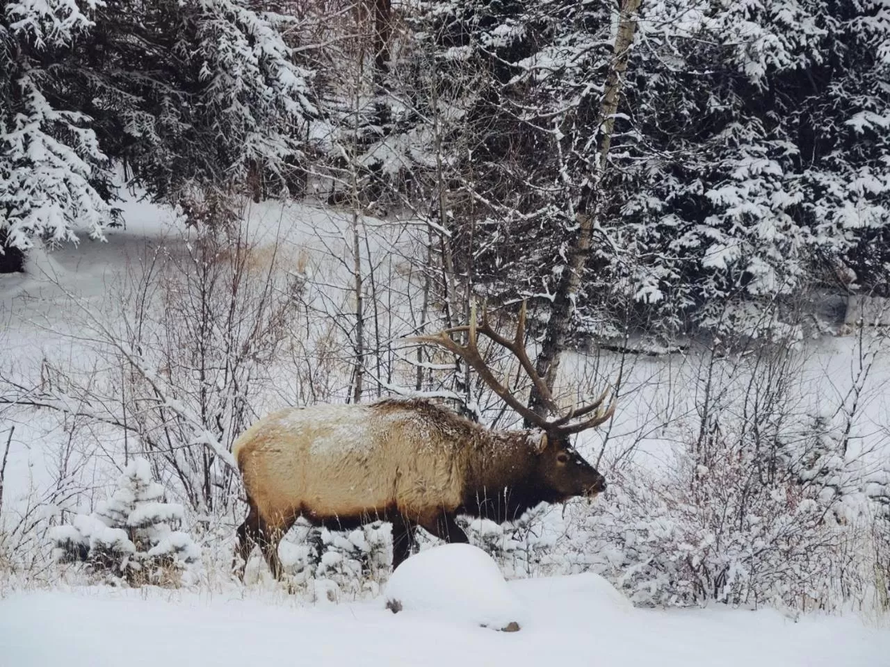 Riversong Inn Retreat