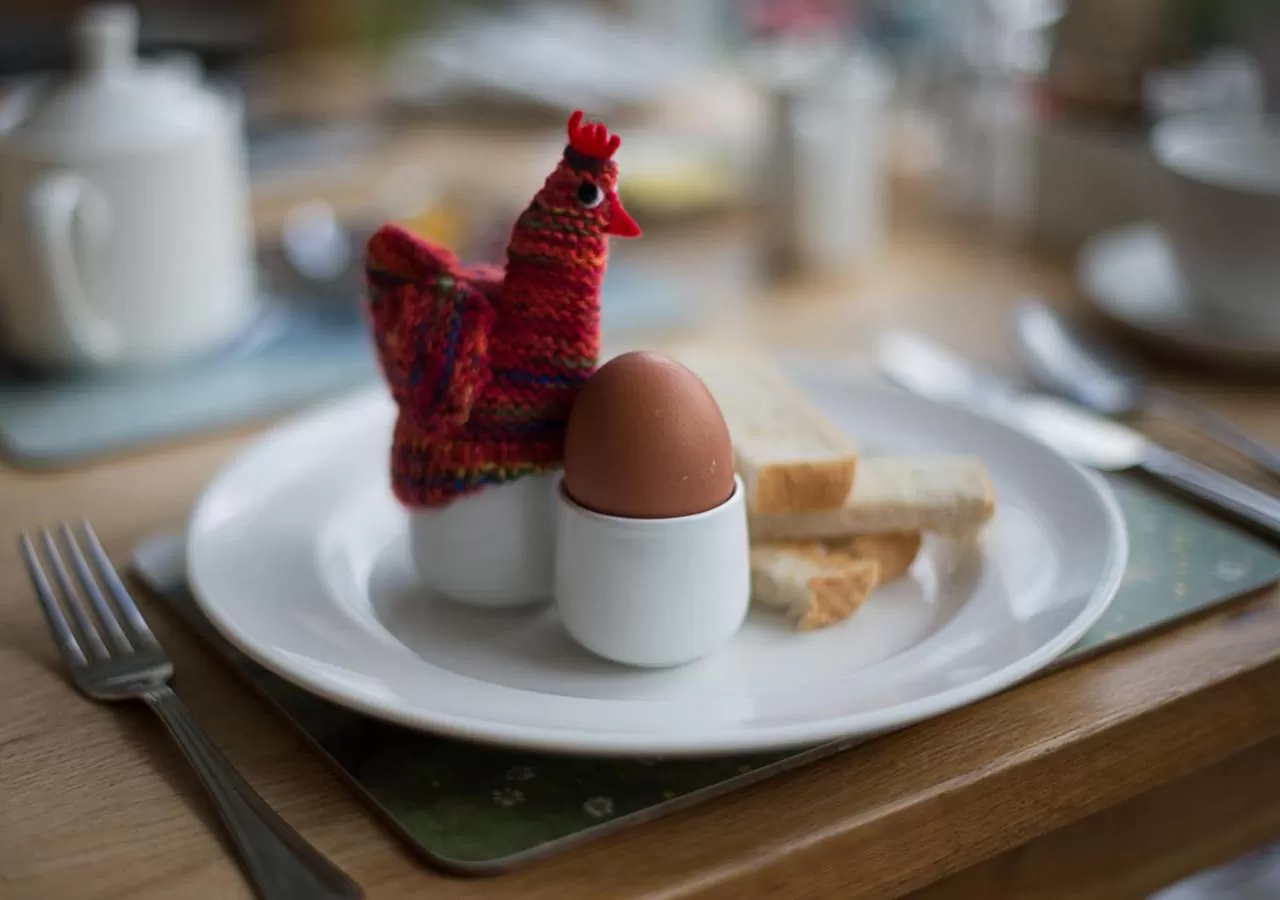 Food close-up in Aberconwy House B&B
