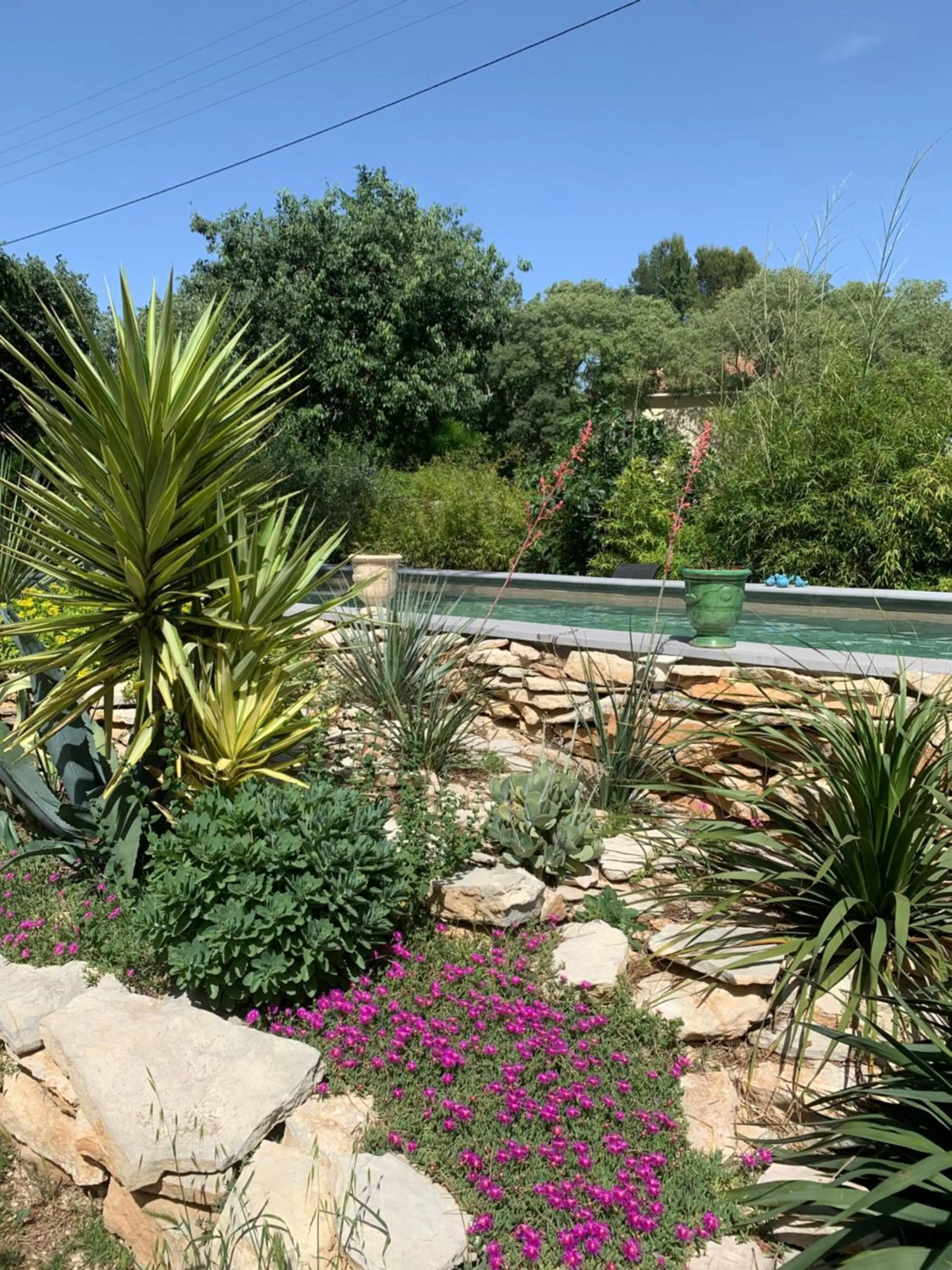 Garden in Chambres d'Hôtes Lovely Planette