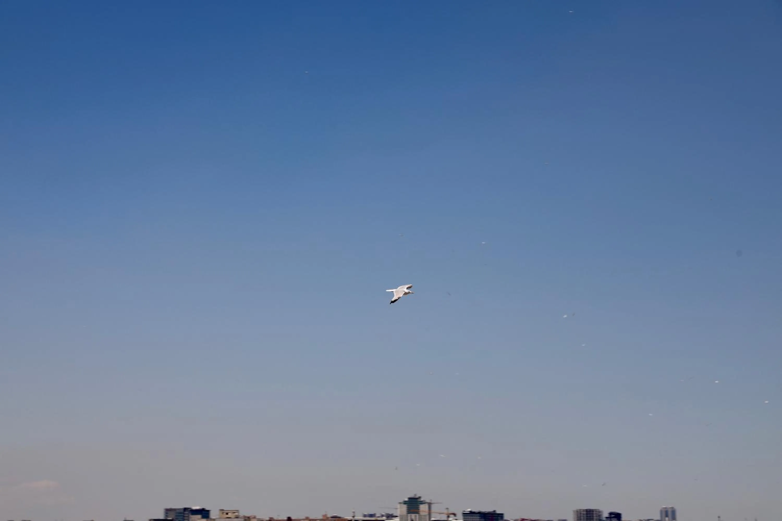 Day in Istanbul Royal Hotel