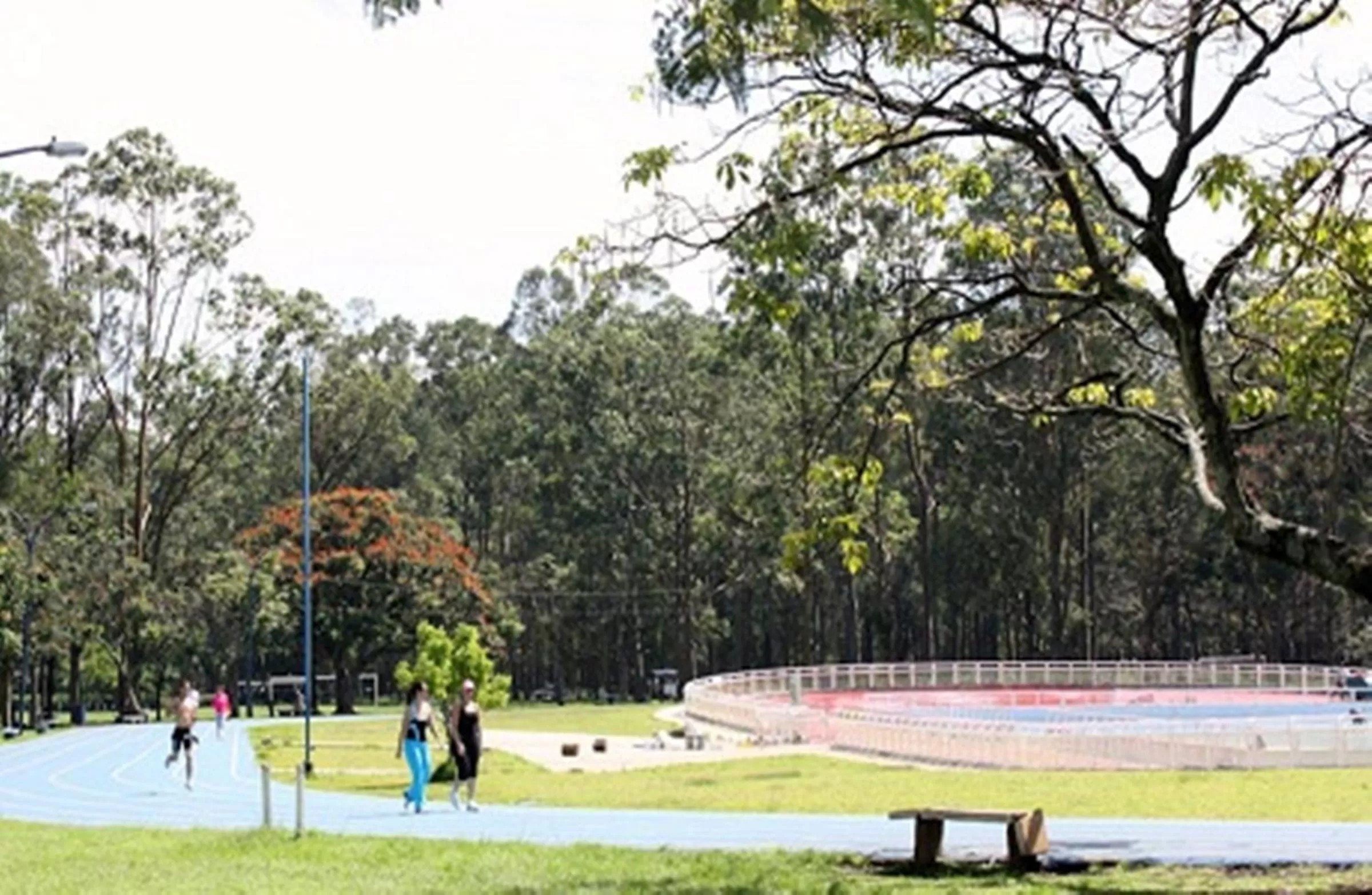 Bird's eye view in Hotel Quinta Avenida