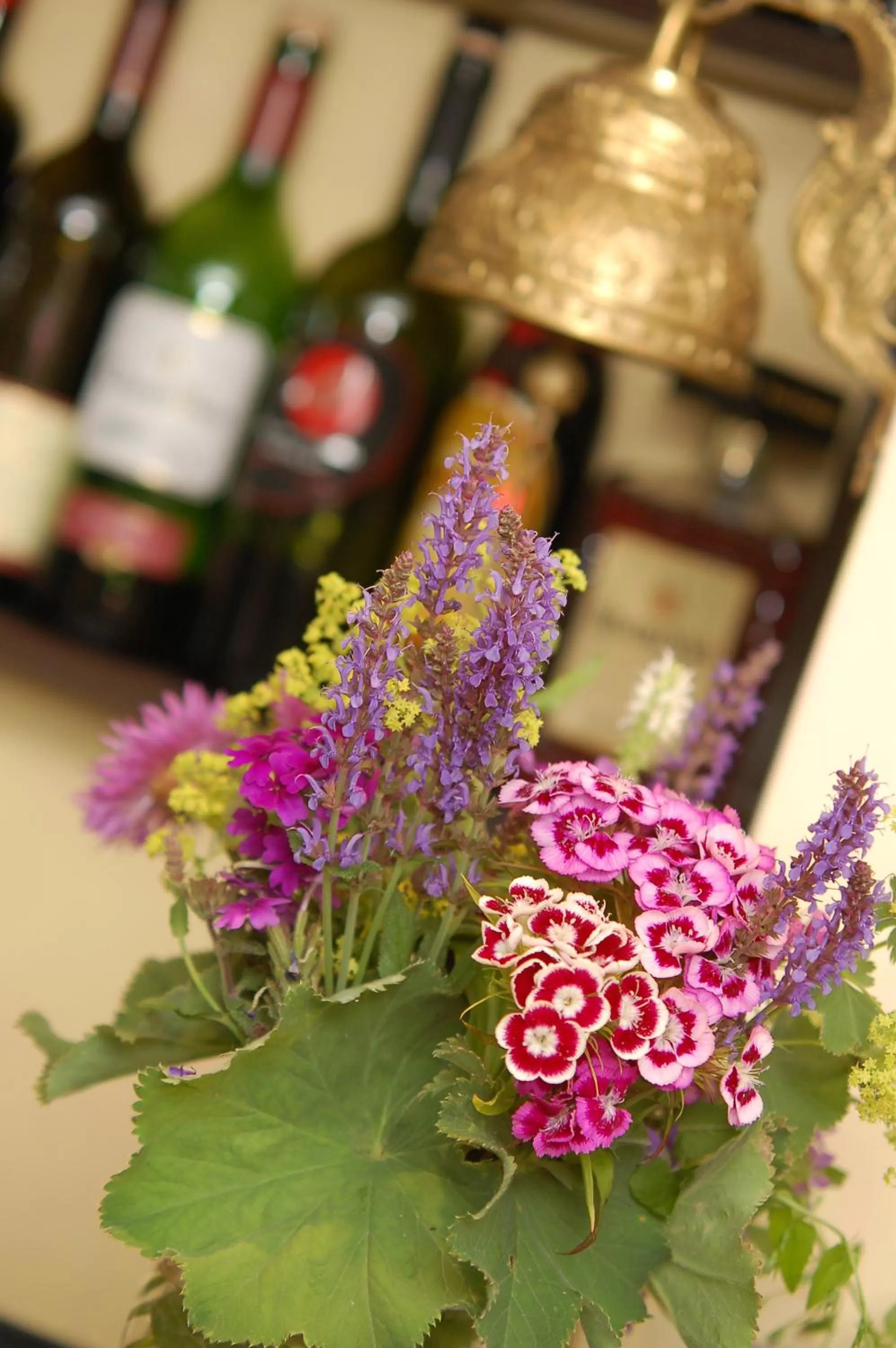 Lounge or bar, Drinks in Ferienhotel Haus Becker