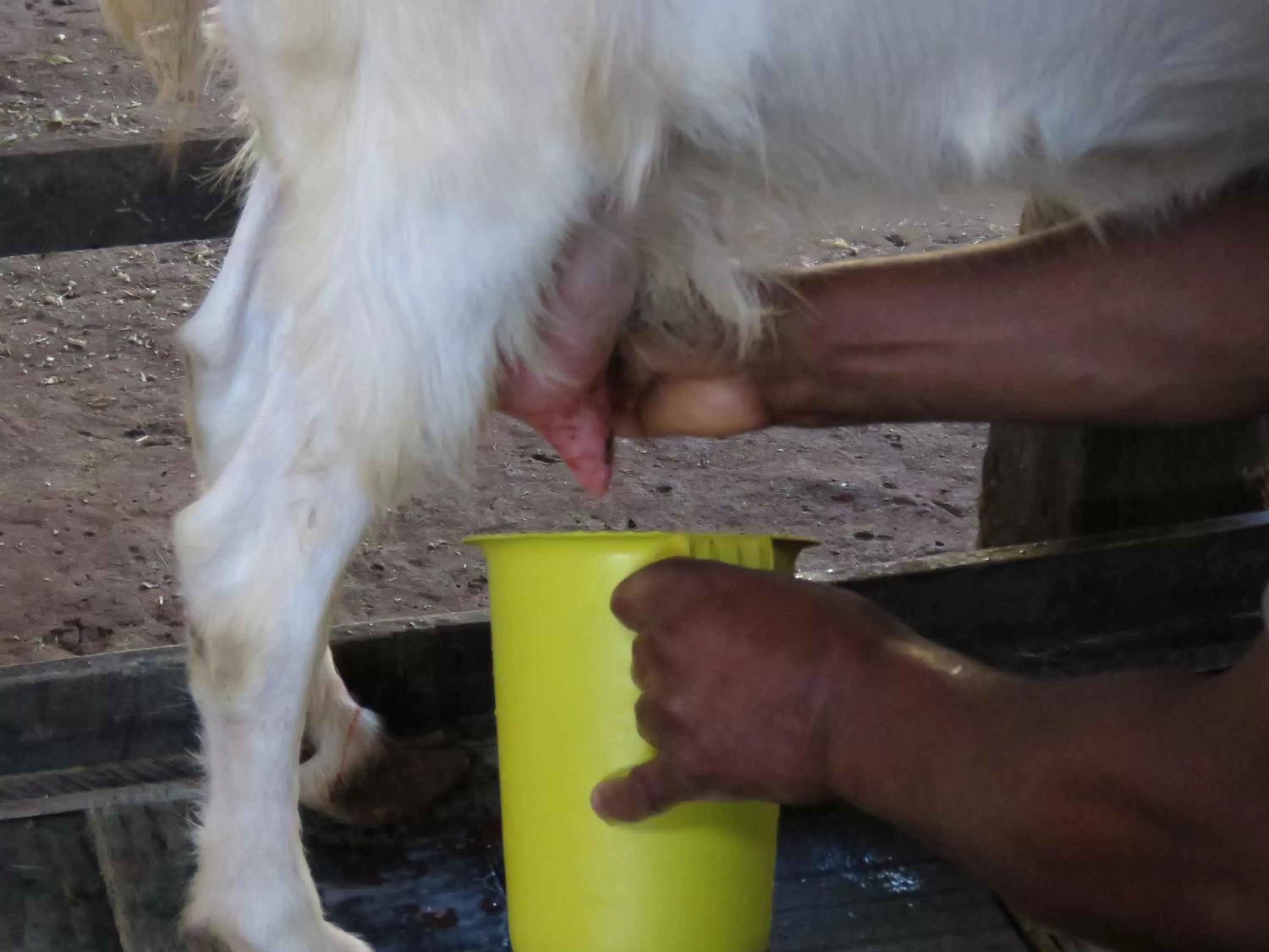 Lagoa Seca Hotel Rural