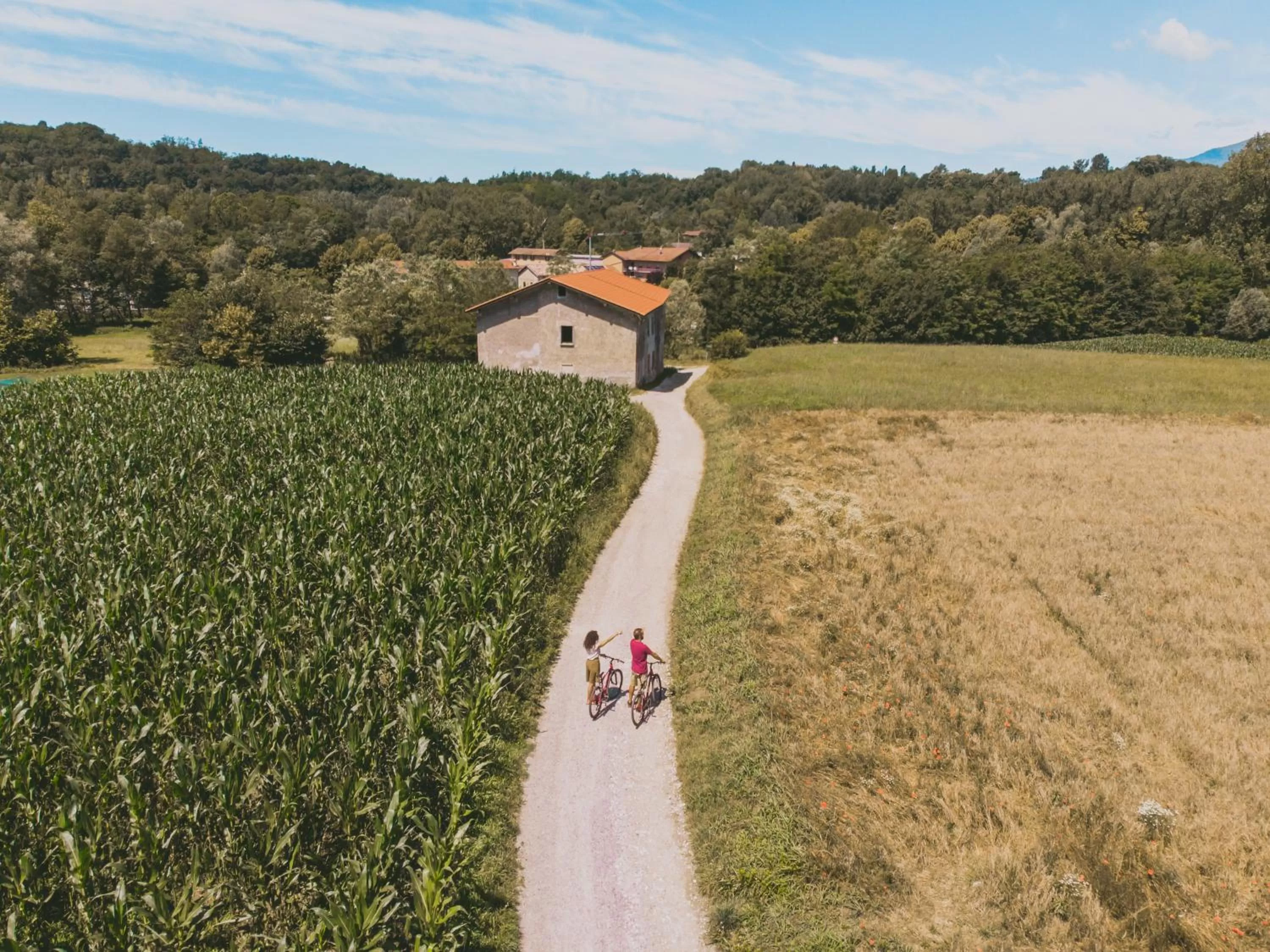 Entertainment in La Casa del Mulino