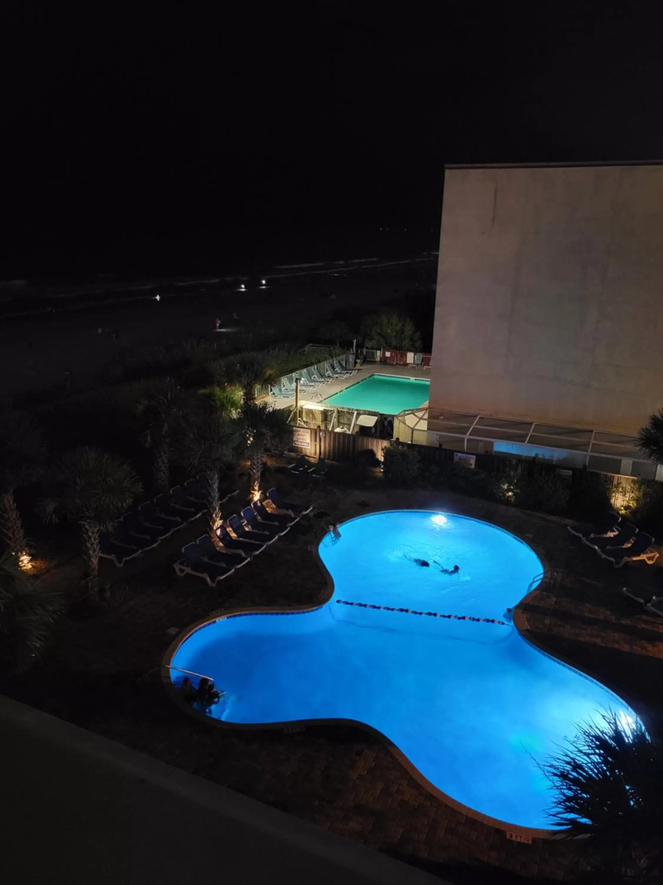 Pool View in The Palace Unit 305