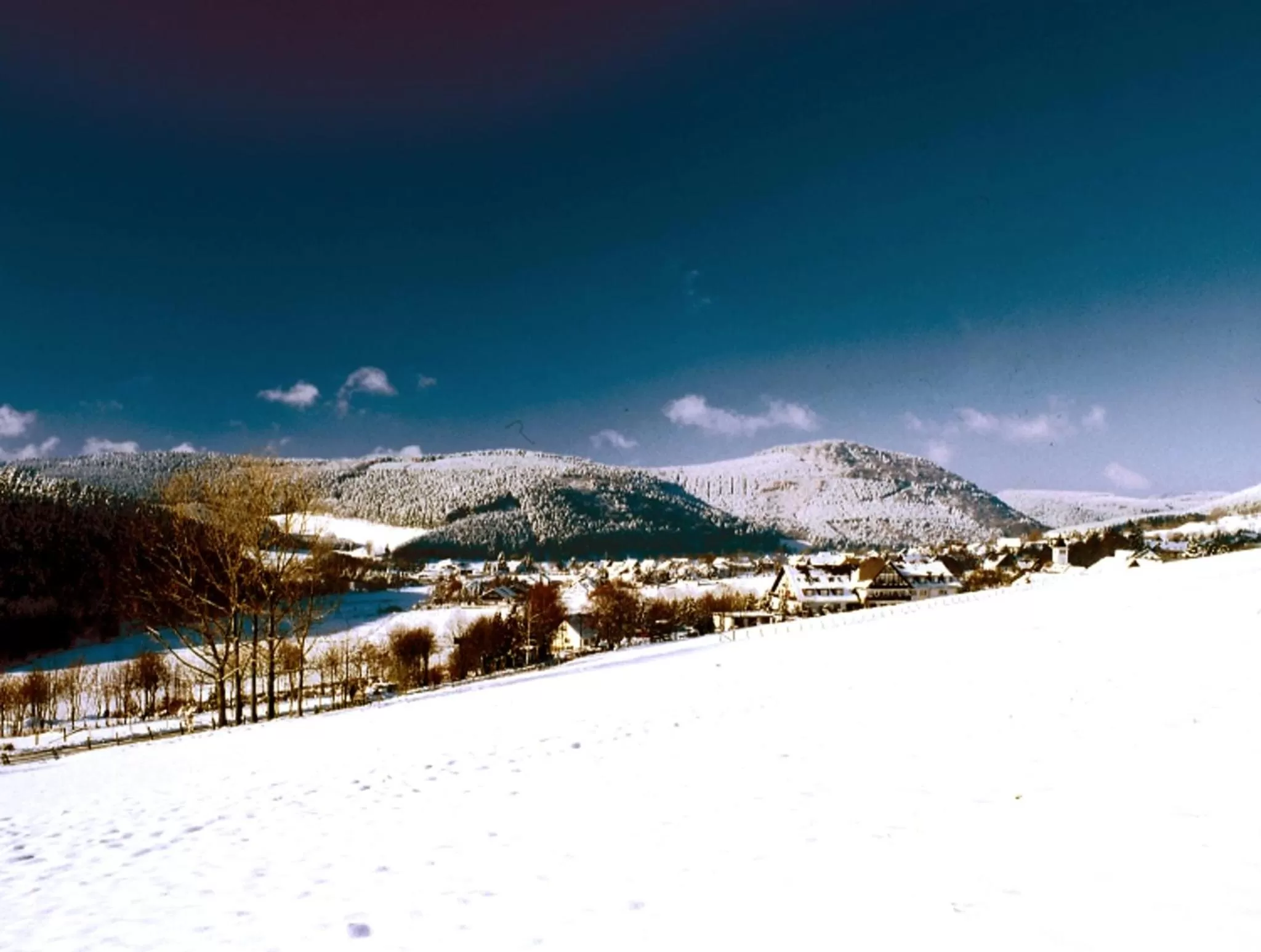 Natural landscape in Heidehotel Hildfeld