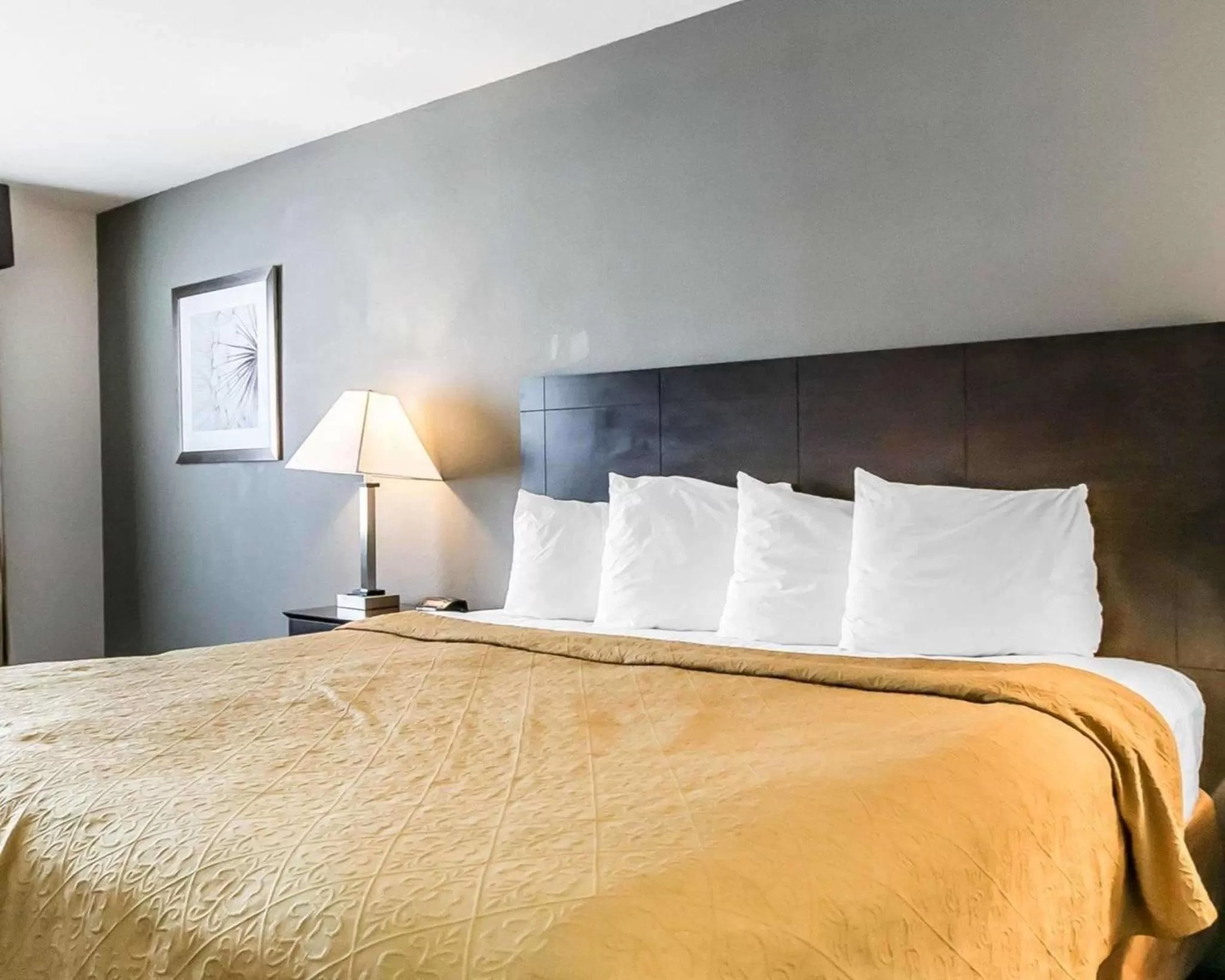 Photo of the whole room, Bed in Quality Inn & Suites University-Airport