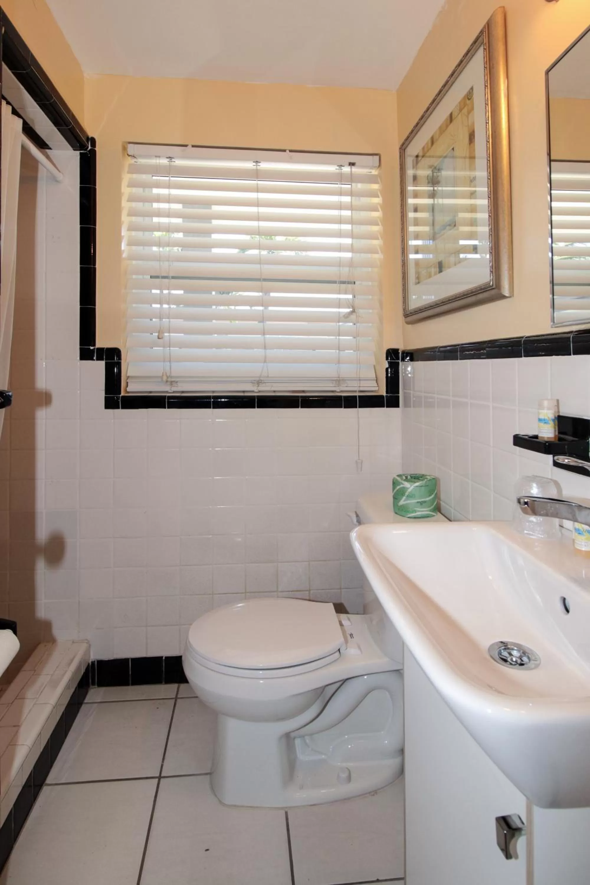 Other in The Dolphin Hollywood