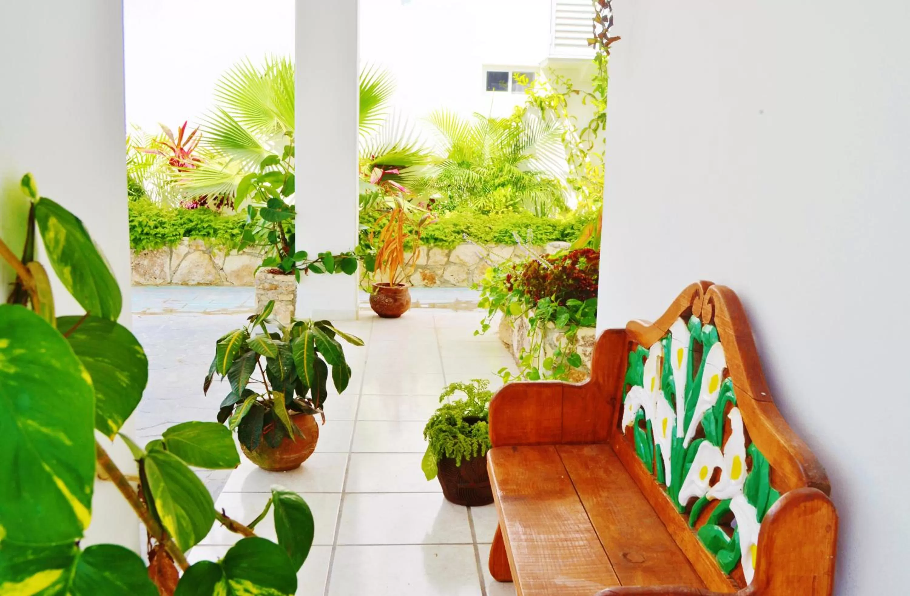 Patio in Corales Suites