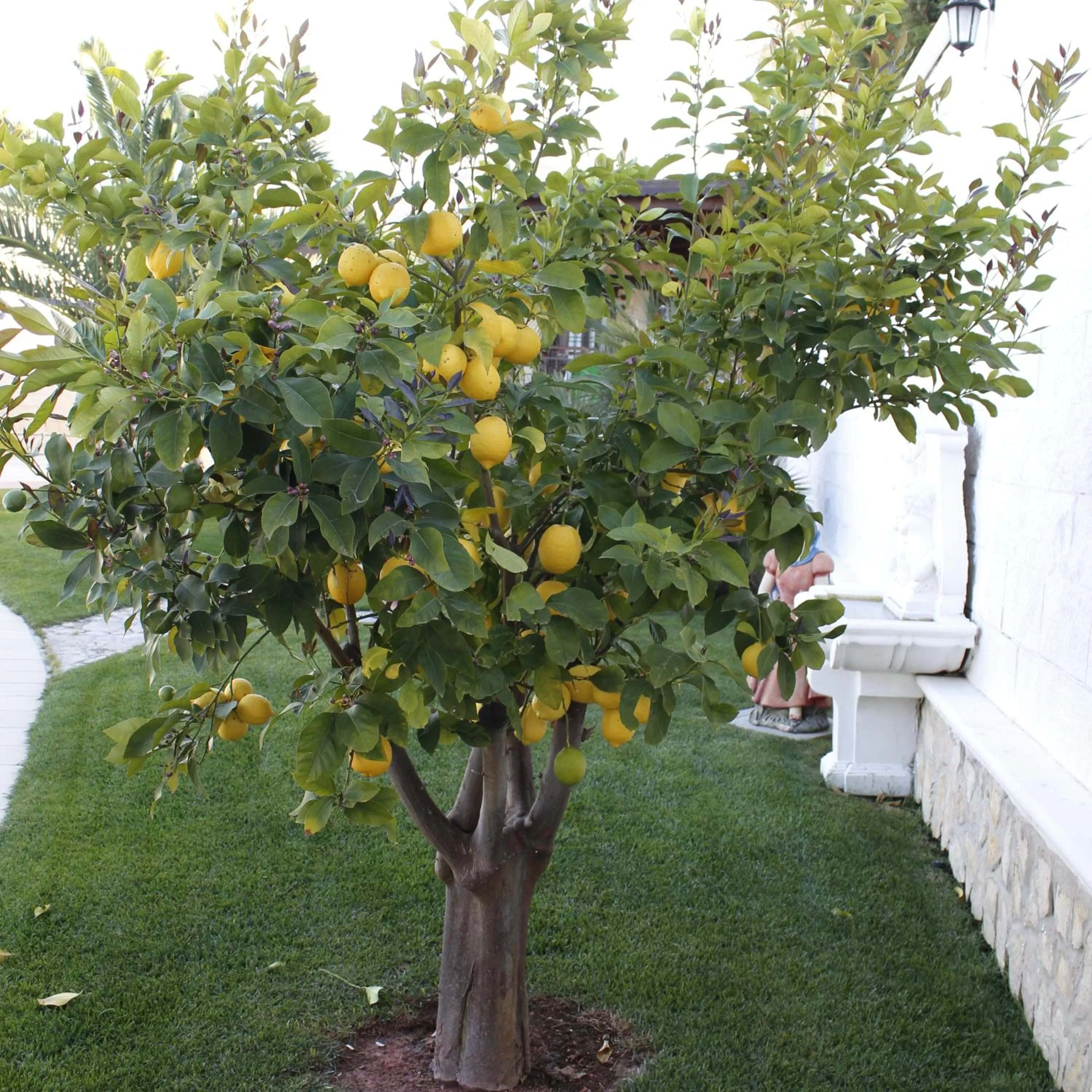 Staff in B&B Barletta Acasamia con Parcheggio Privato