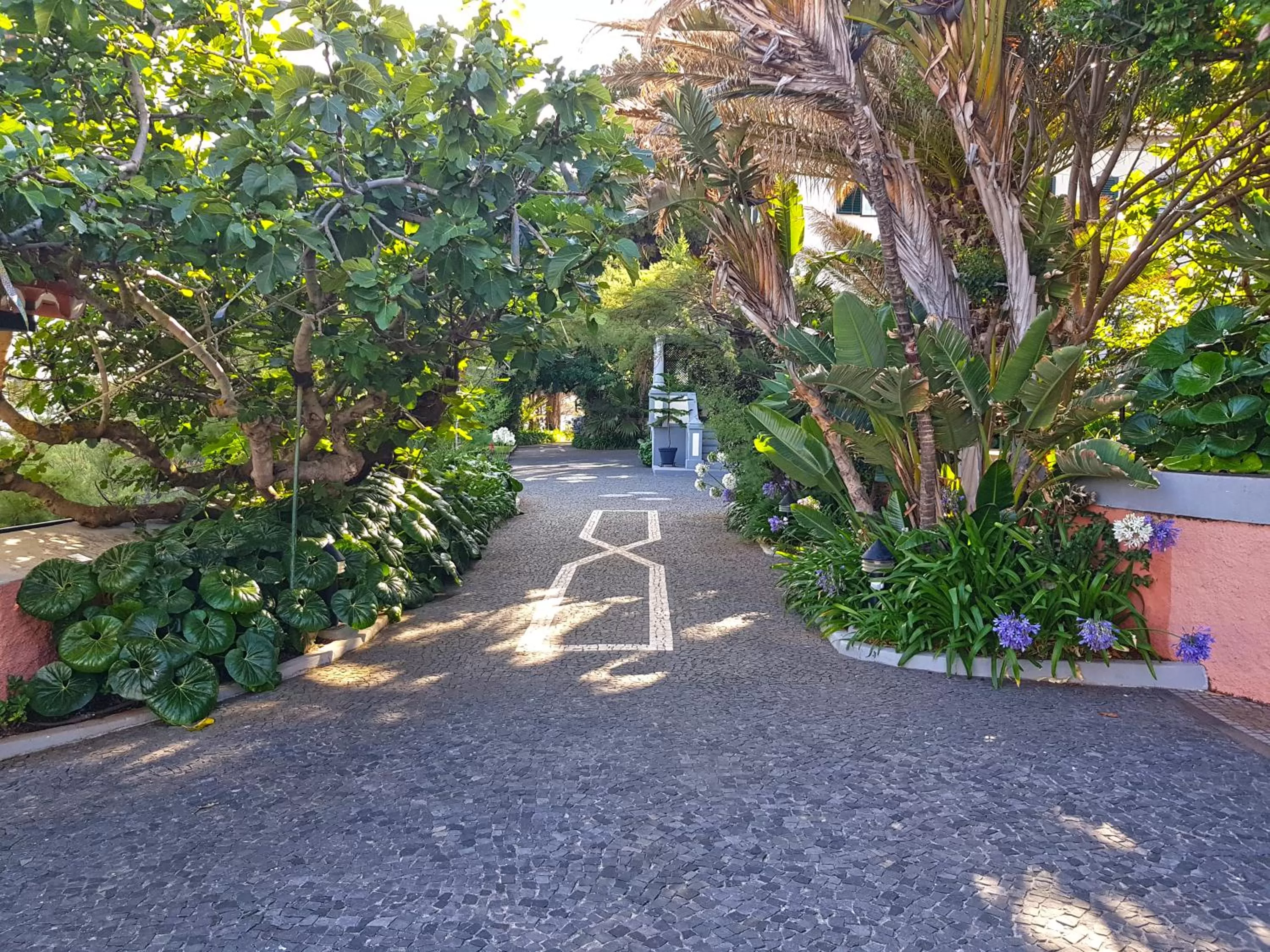 Garden in Albatroz Beach & Yacht Club