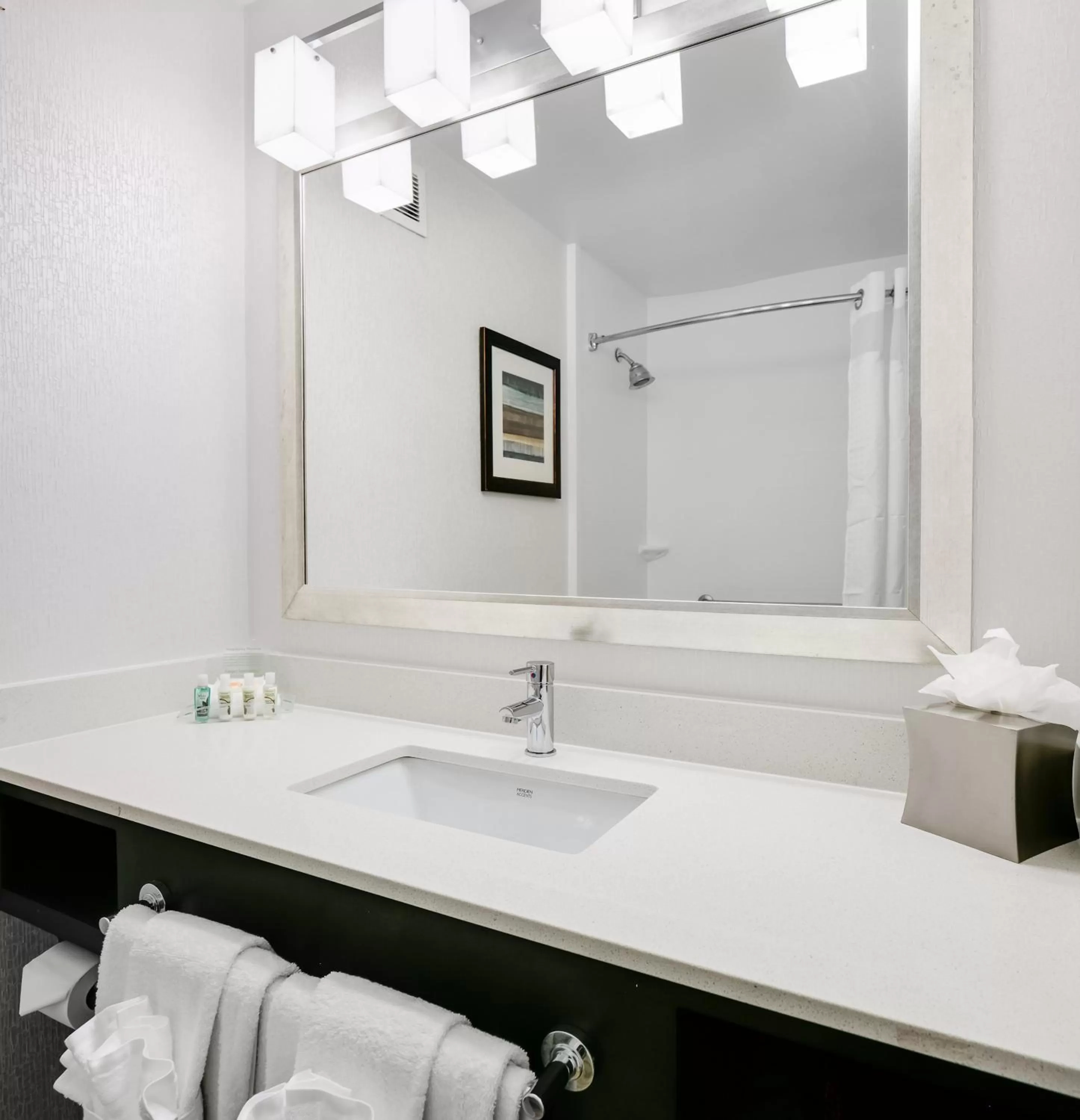 Bathroom in Holiday Inn Hotel & Suites Overland Park-West by IHG