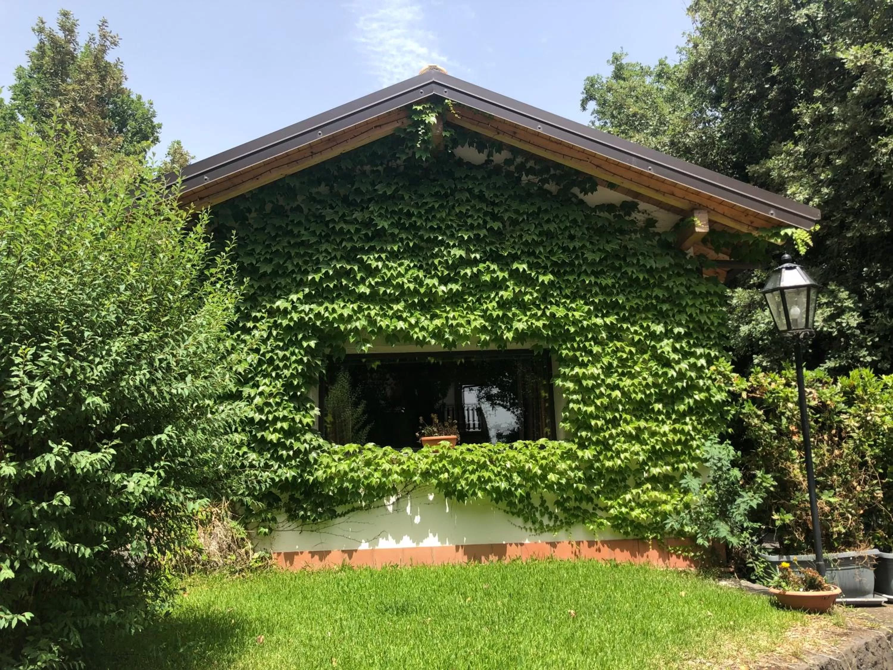 Photo of the whole room in Domus Verdiana