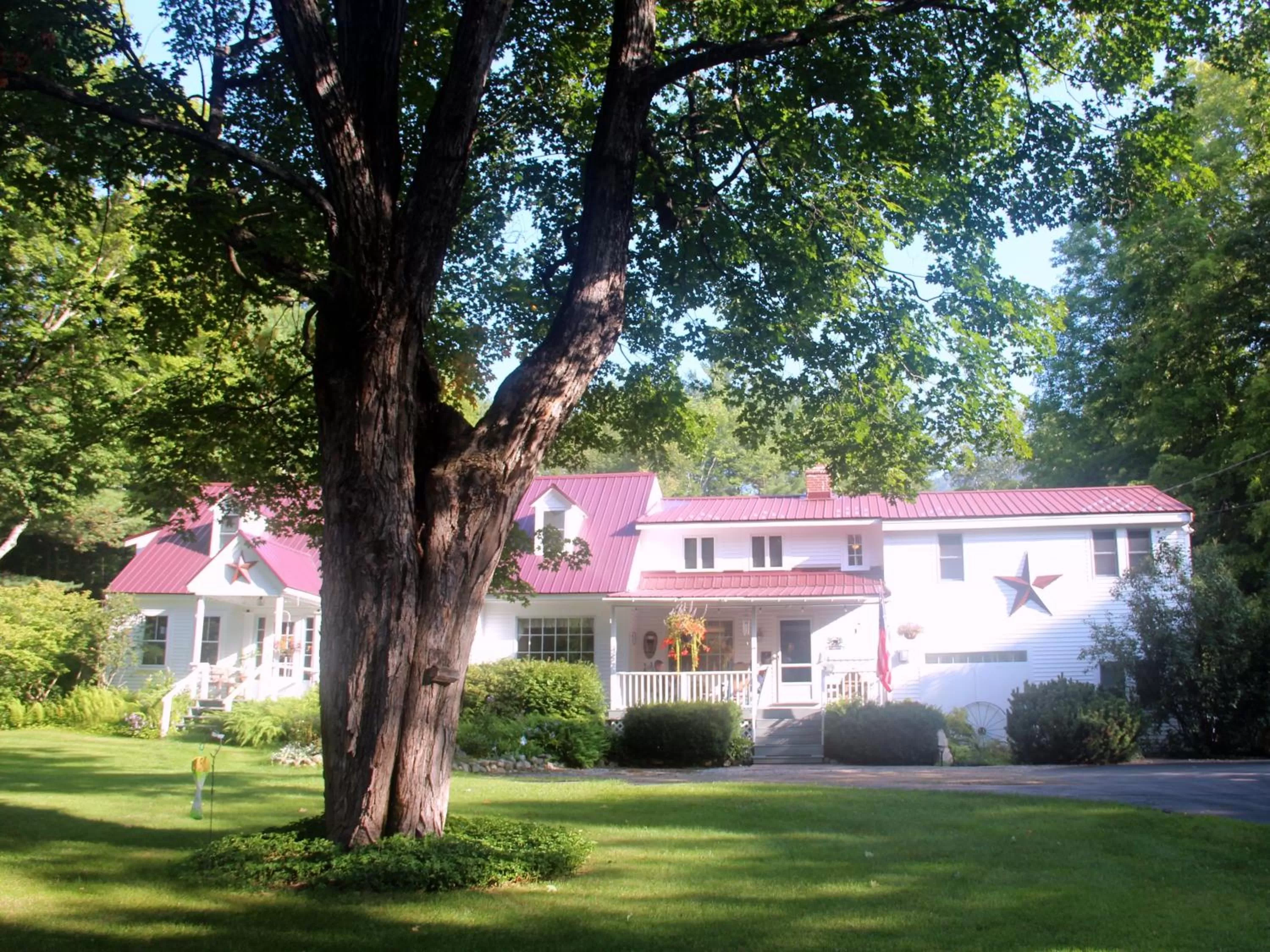 Property Building in Buttonwood Inn on Mount Surprise
