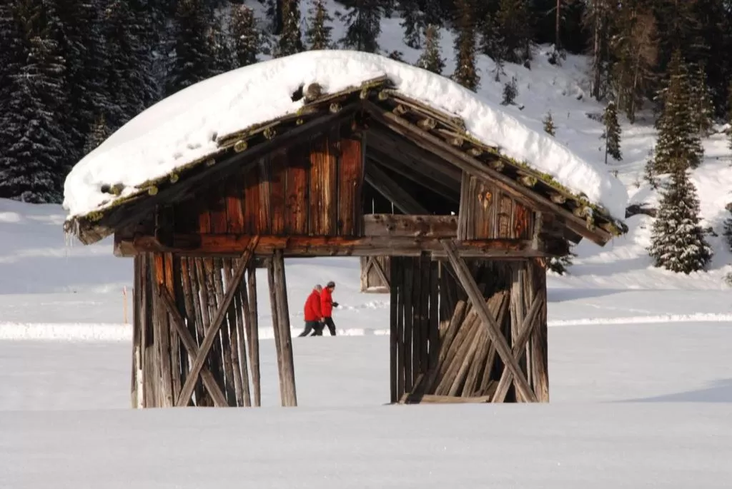 Natural landscape, Winter in Residence Obermoarhof