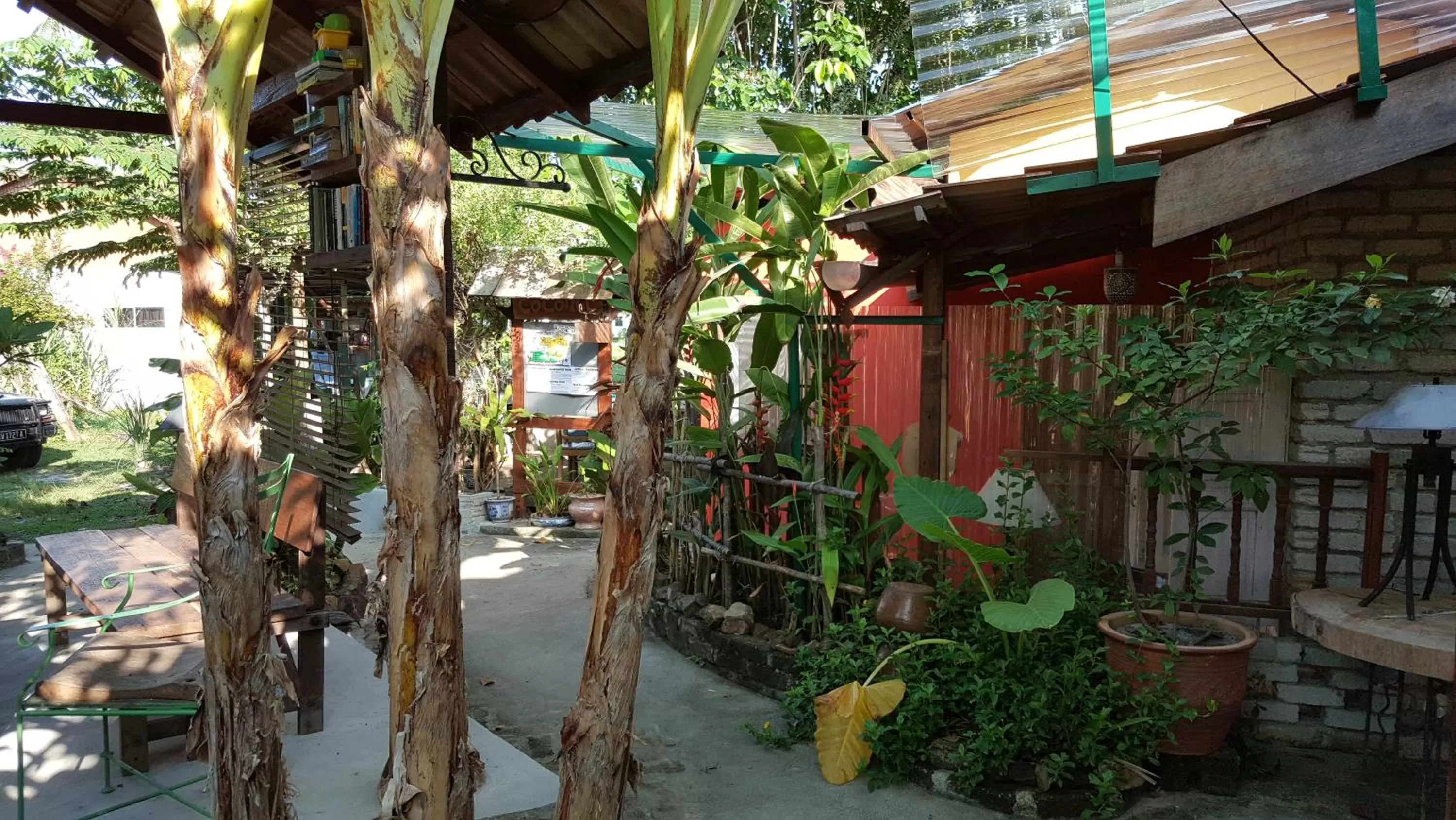 the coconut langkawi