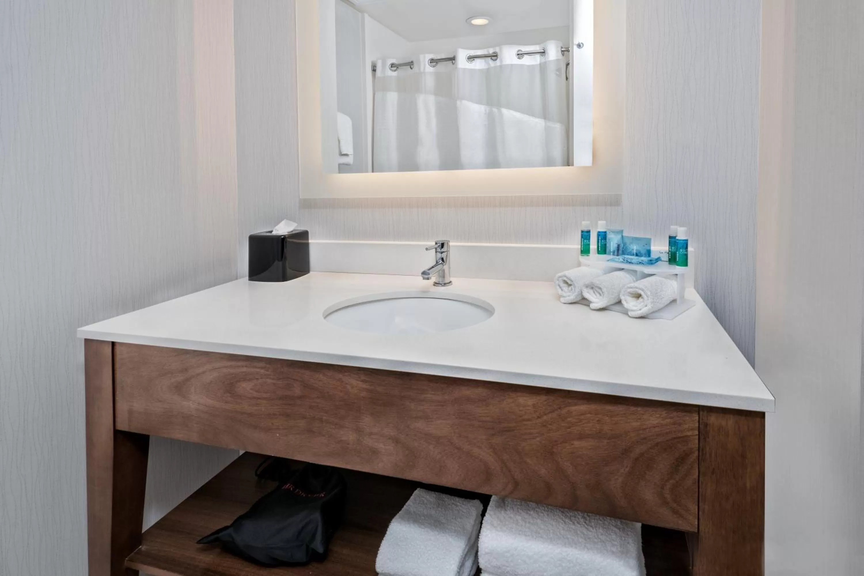 Bathroom in Holiday Inn Express & Suites Austin - Round Rock Area by IHG